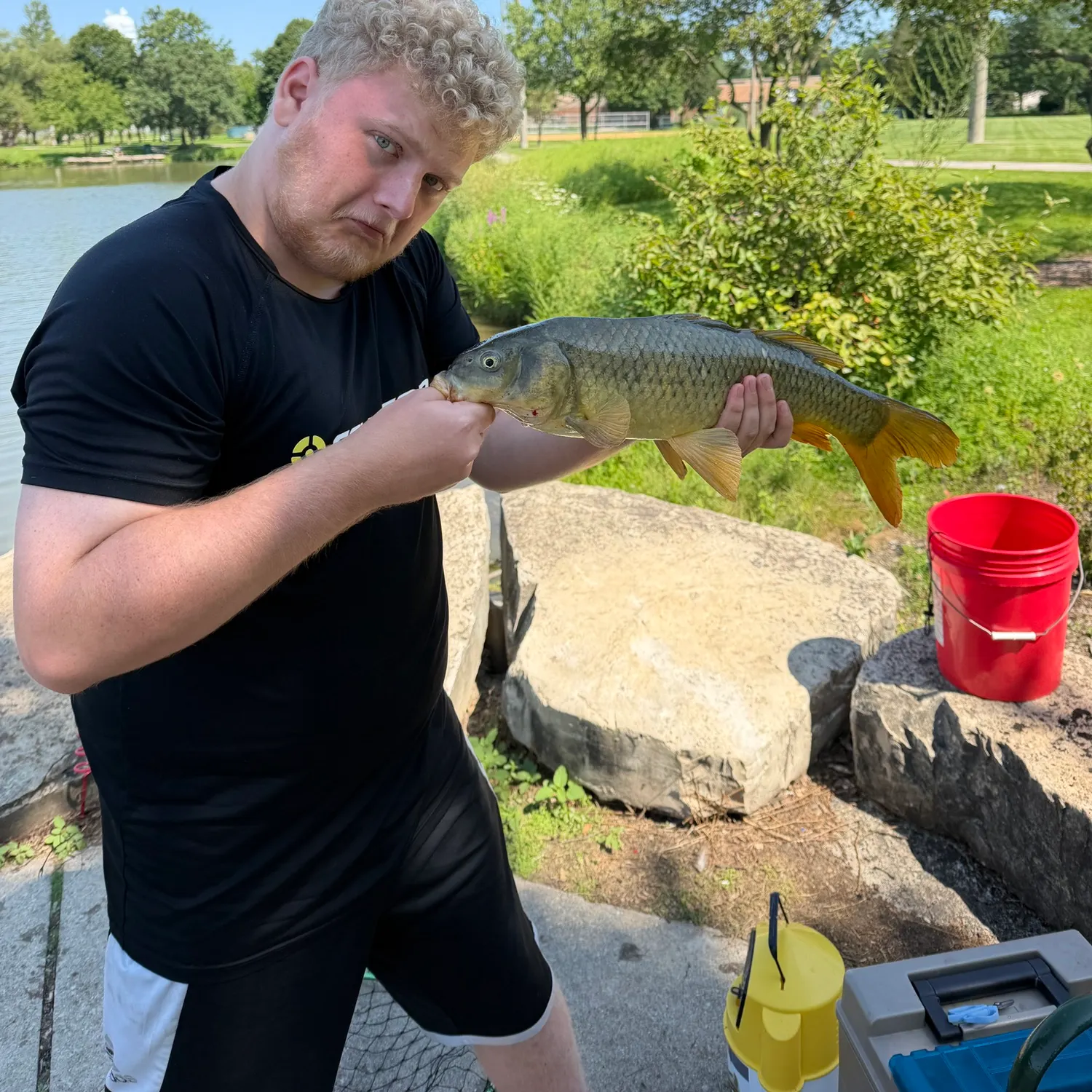 Common carp caught on Fishbrain