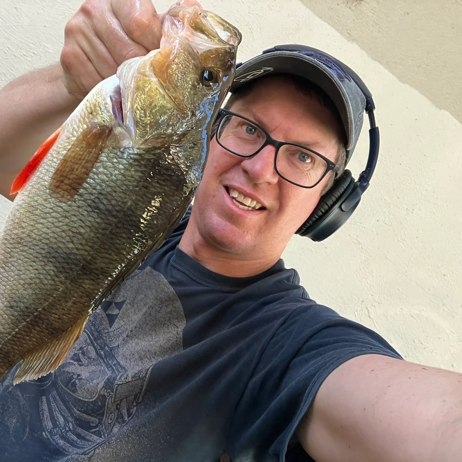 European perch caught on Fishbrain