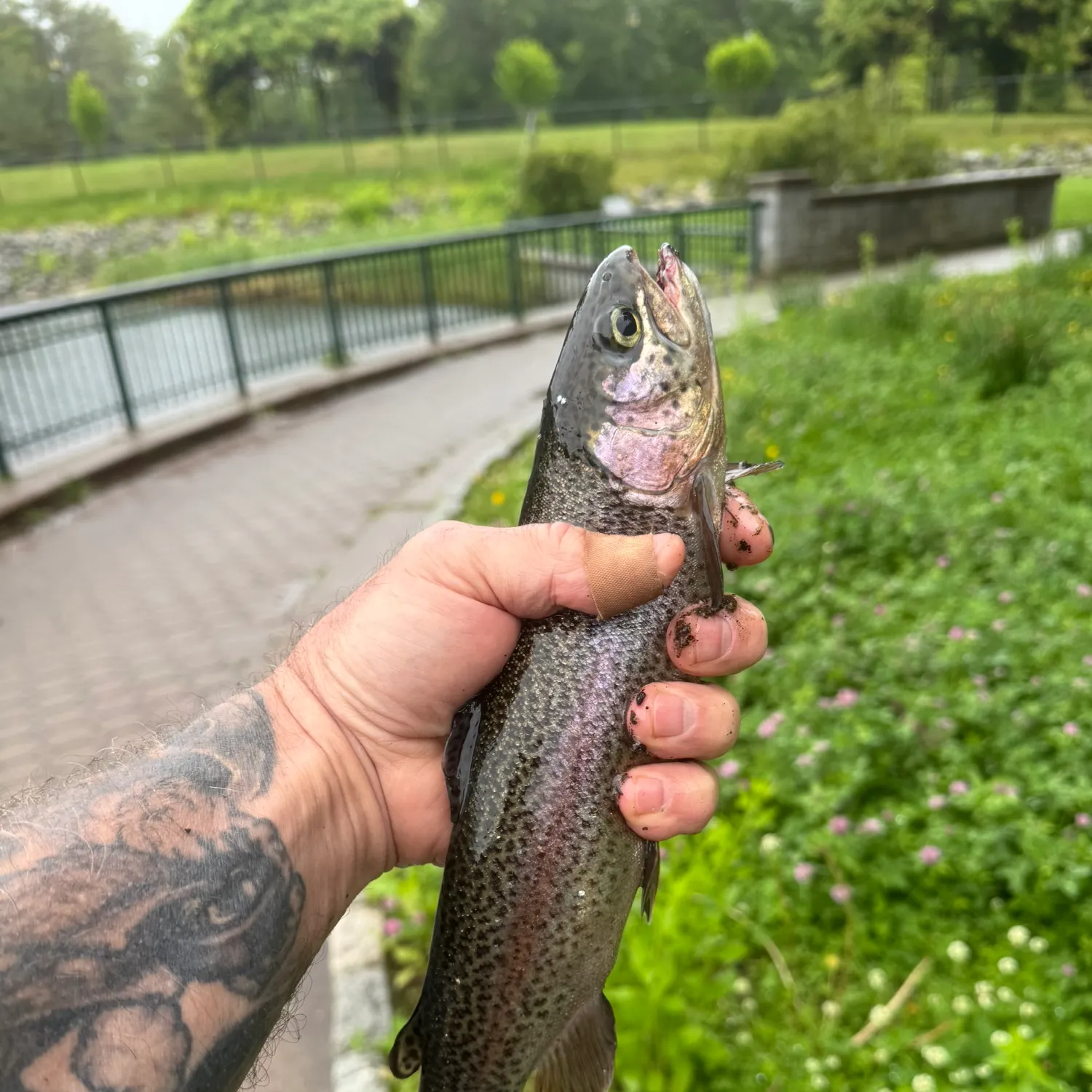 catch