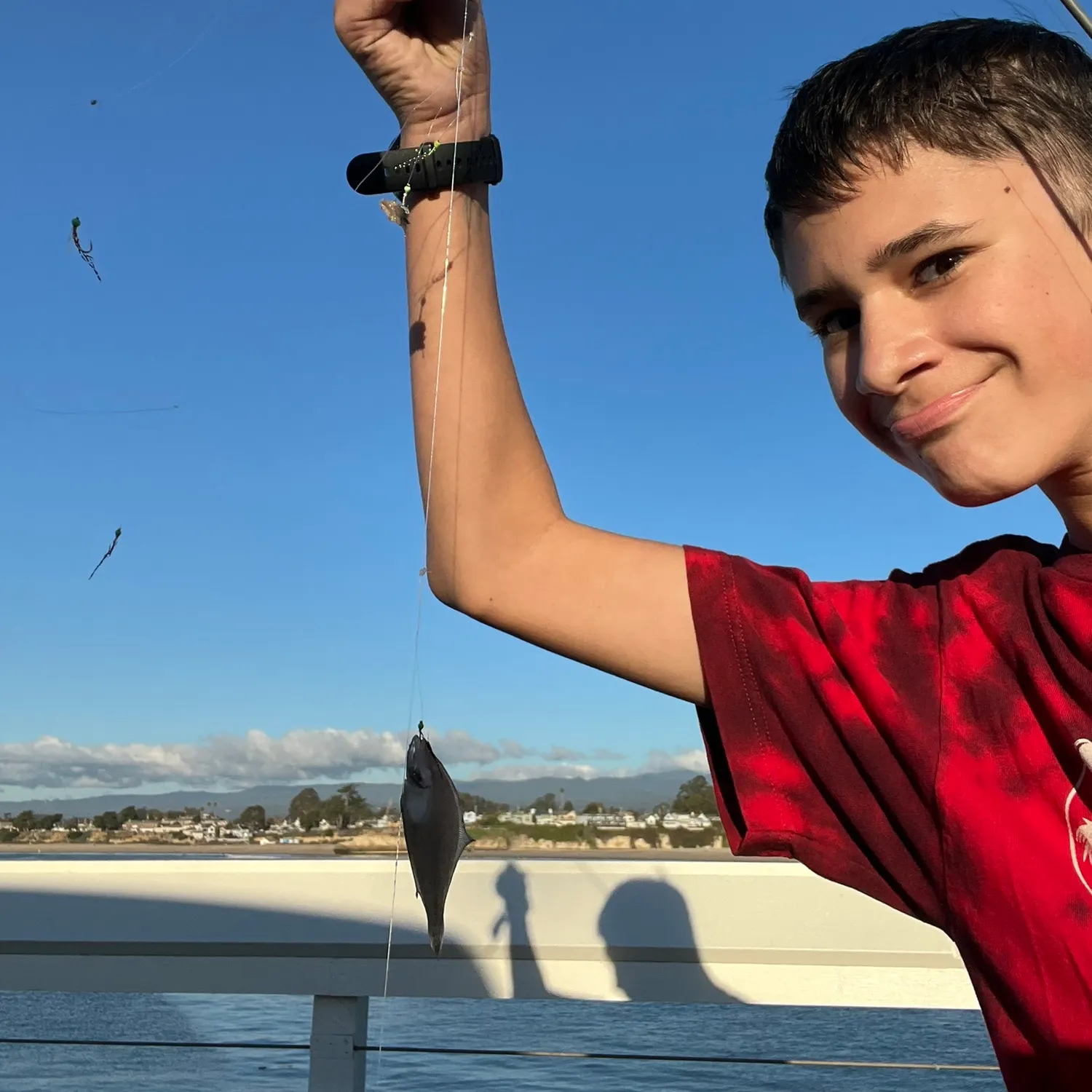 The most recent Pacific sanddab catches on Fishbrain