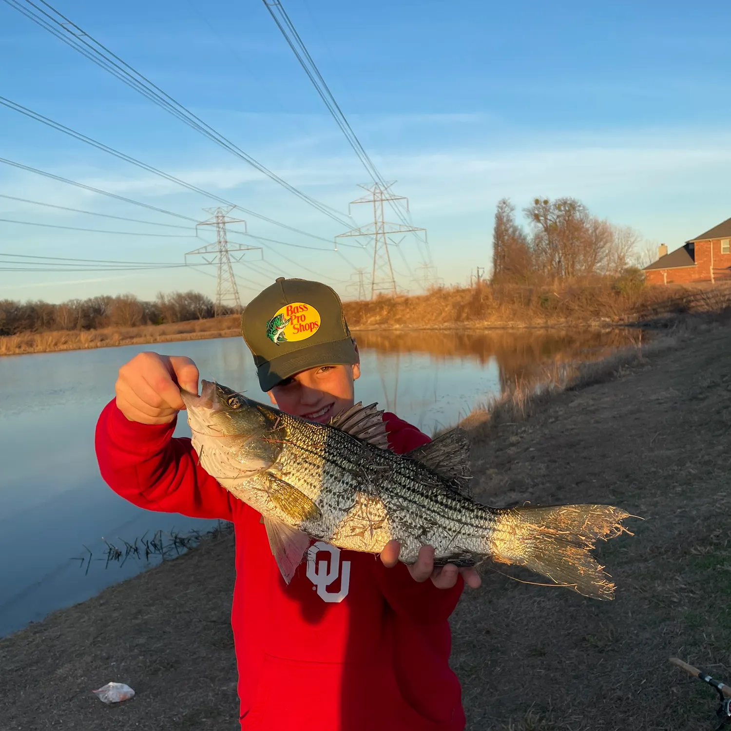 The most recent Hybrid striped bass catches on Fishbrain