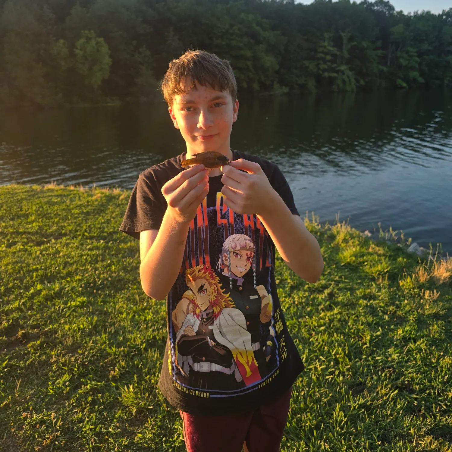 The most recent Pumpkinseed catches on Fishbrain