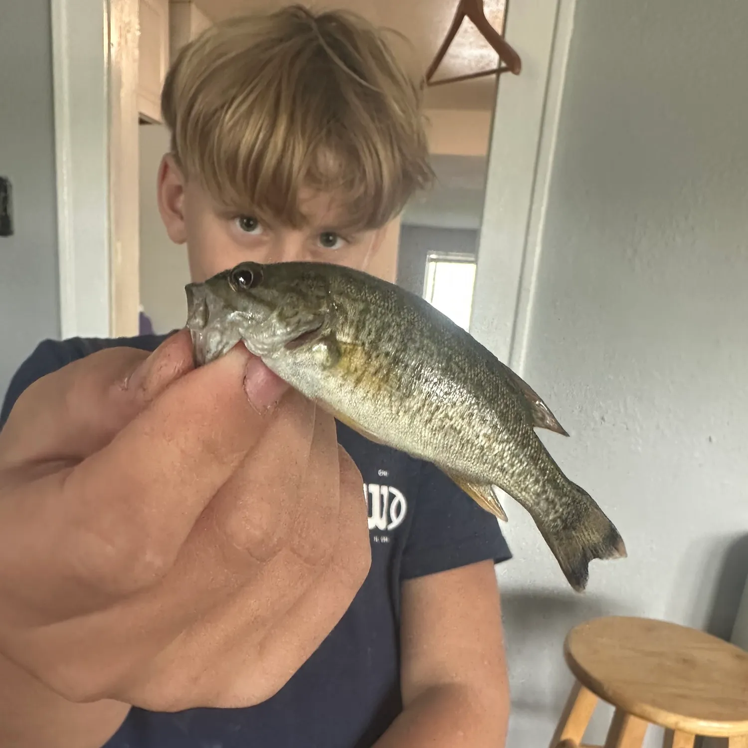 Shoal bass caught on Fishbrain