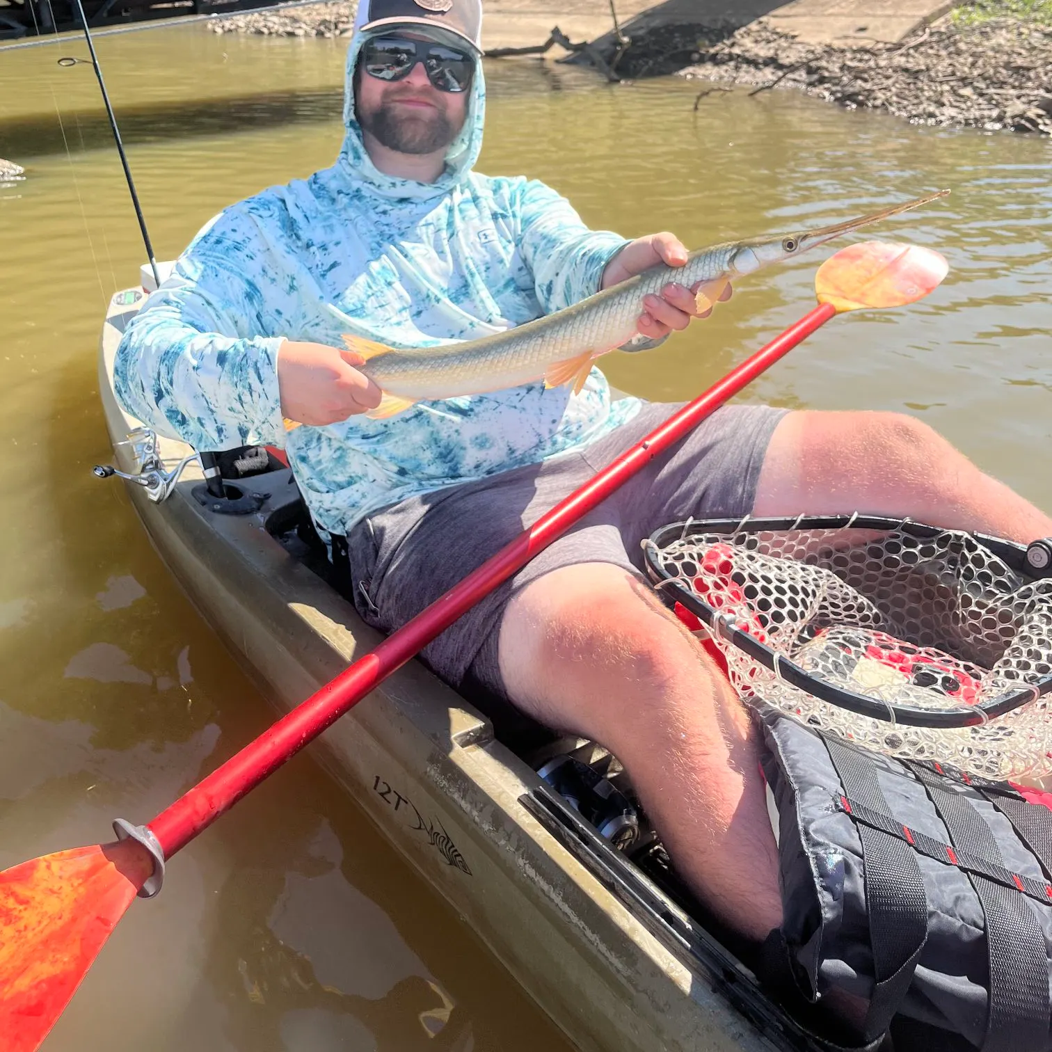 Longnose gar caught on Fishbrain