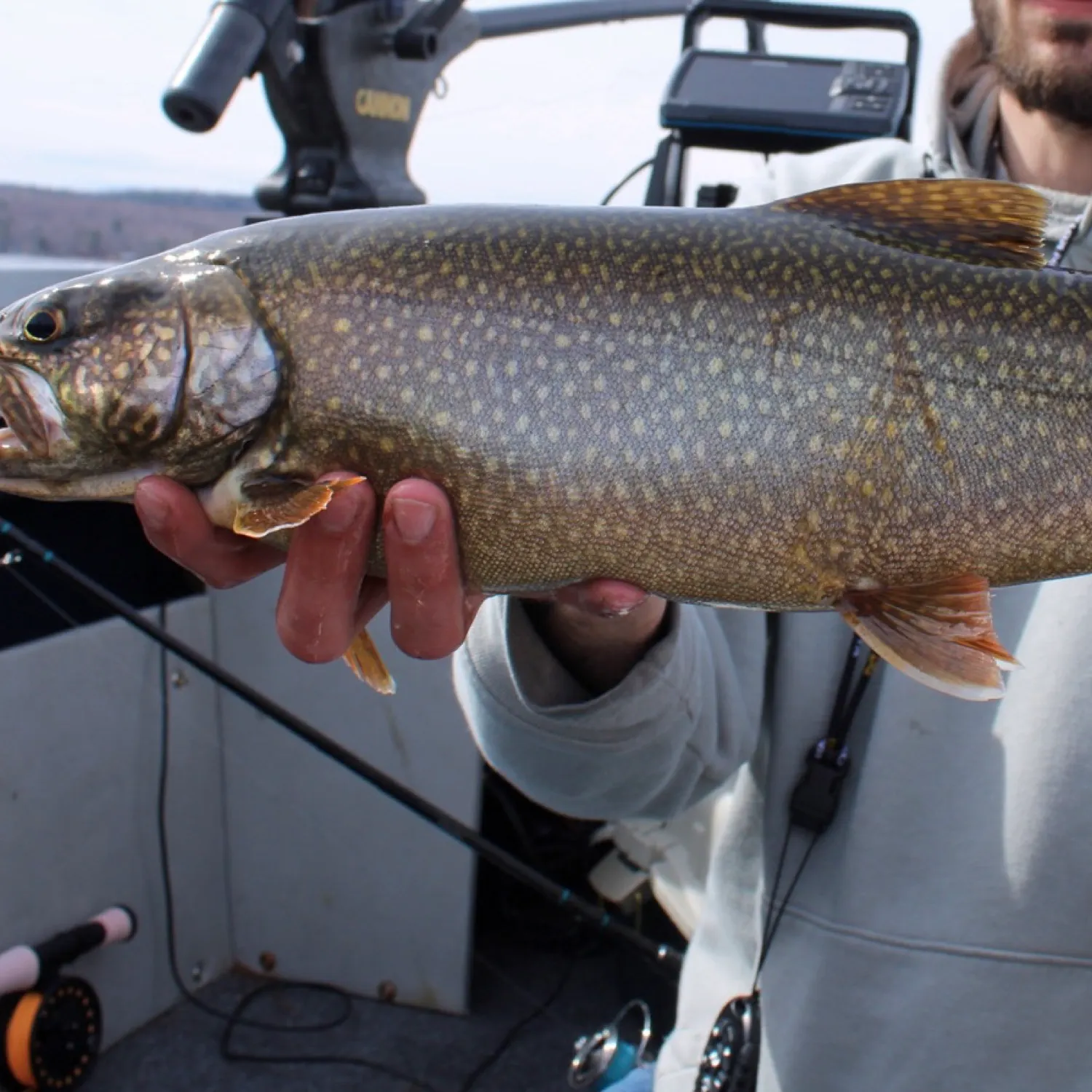 angler catch