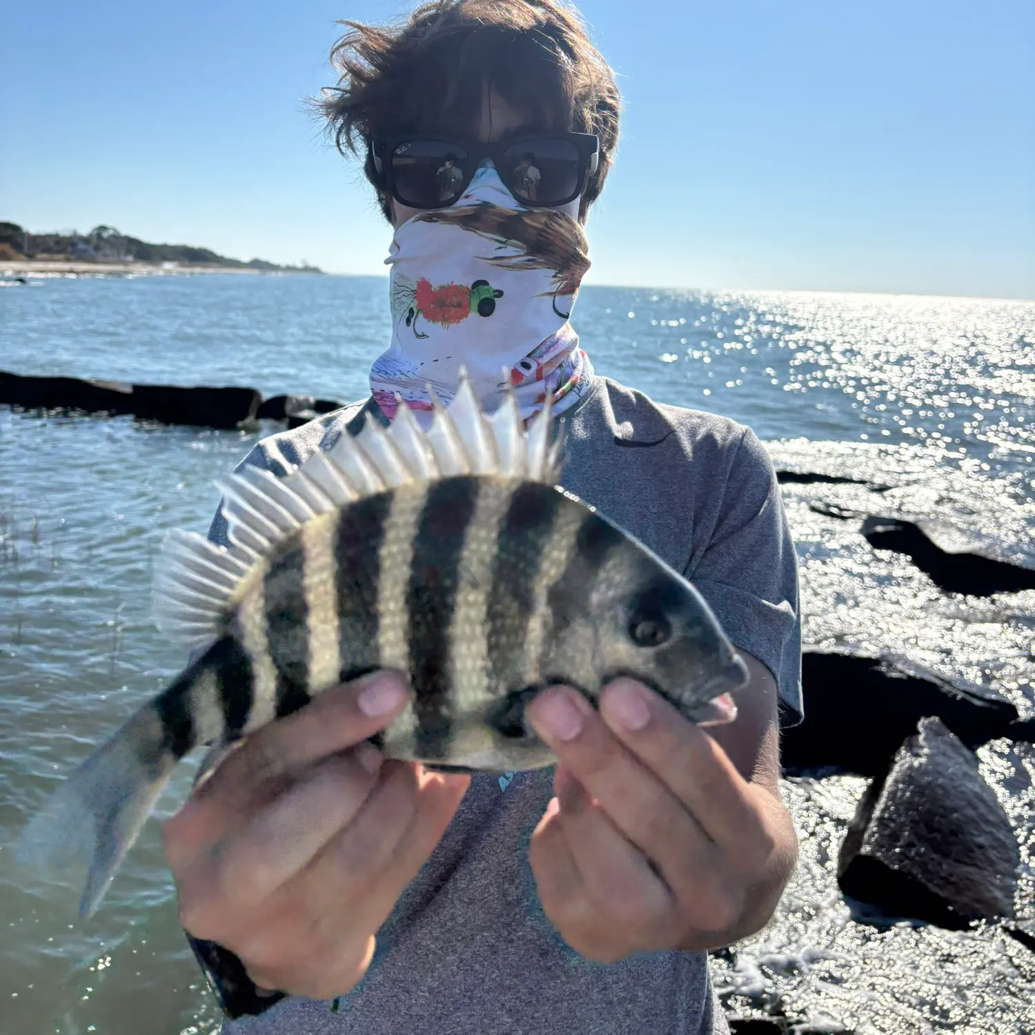 The most recent Sheepshead catches on Fishbrain