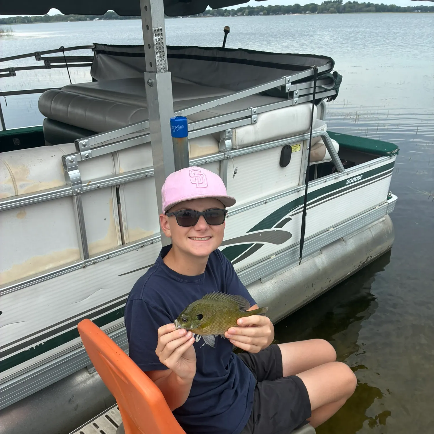 Bluegill caught on Fishbrain