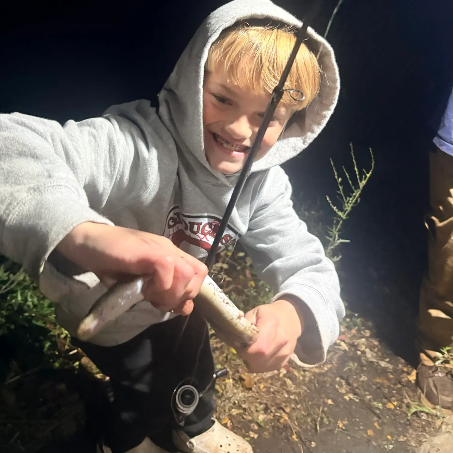 American eel caught on Fishbrain