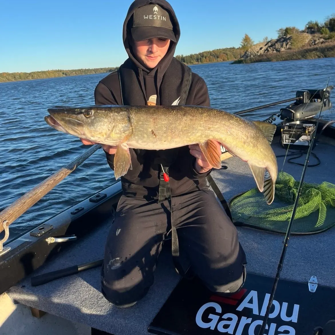Northern pike caught on Fishbrain