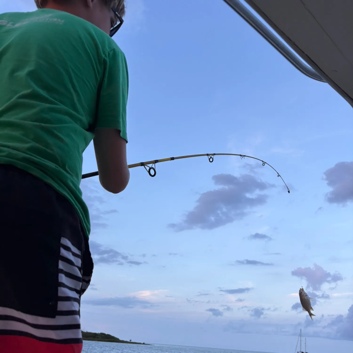 The most recent Bluestriped grunt catches on Fishbrain