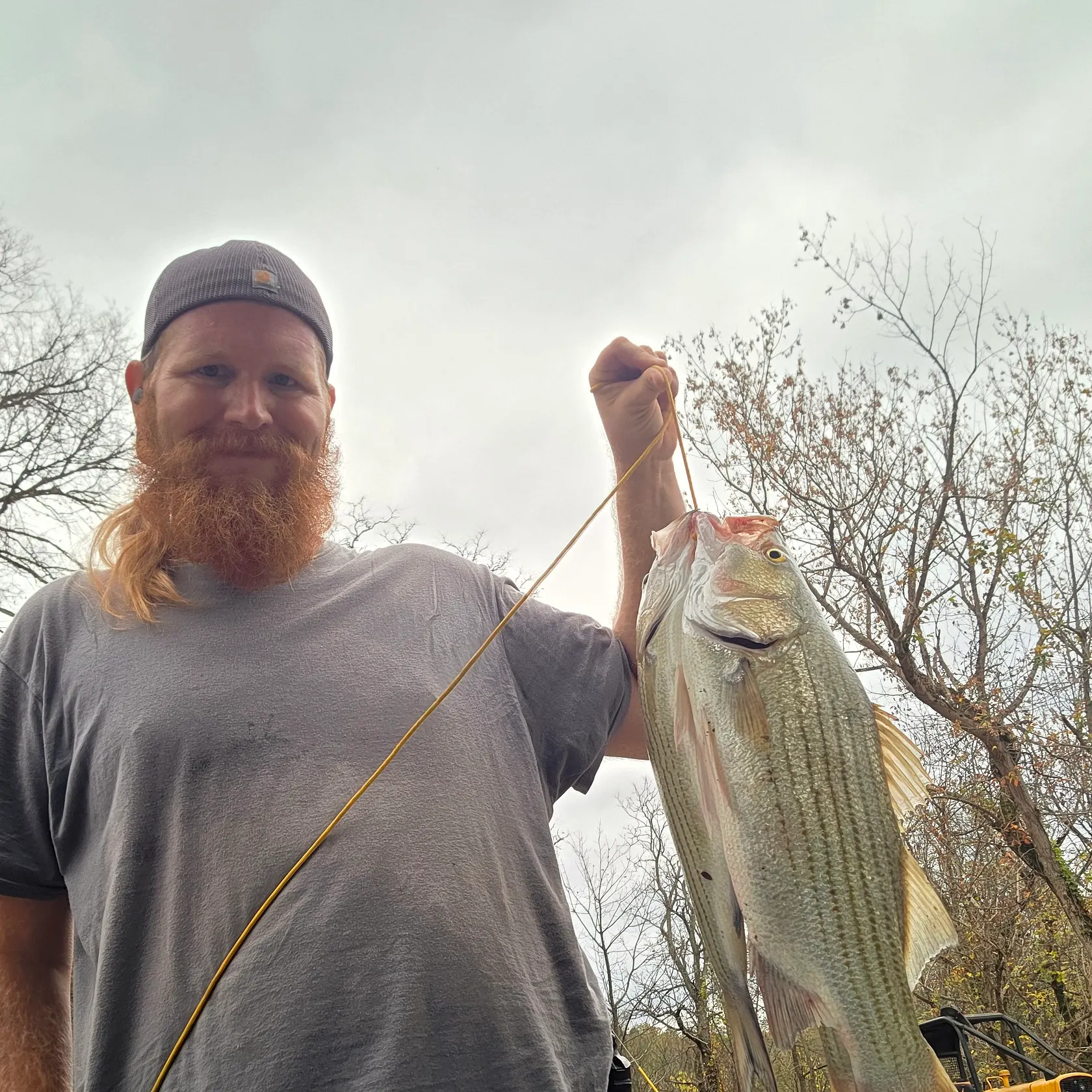 Wiper caught on Fishbrain