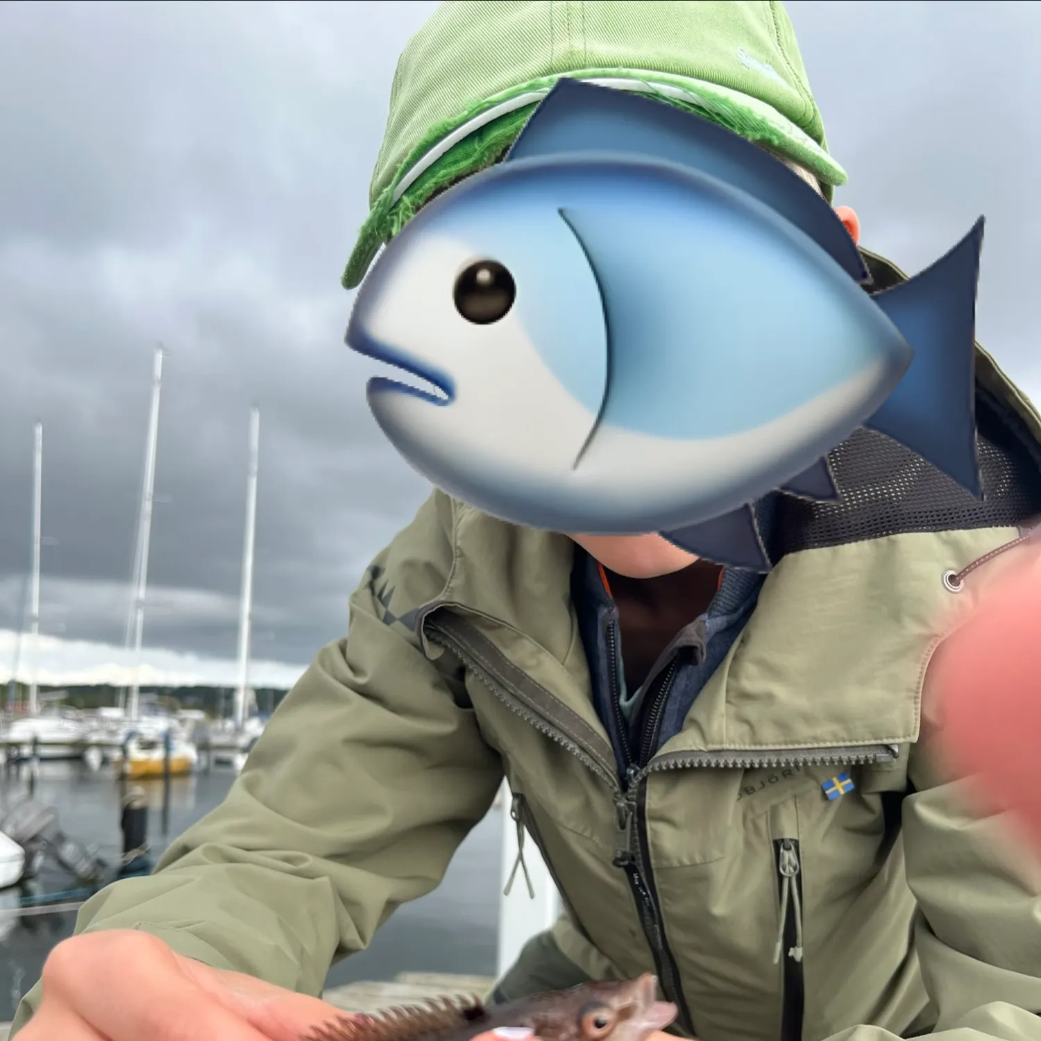 The most recent Goldsinny wrasse catches on Fishbrain