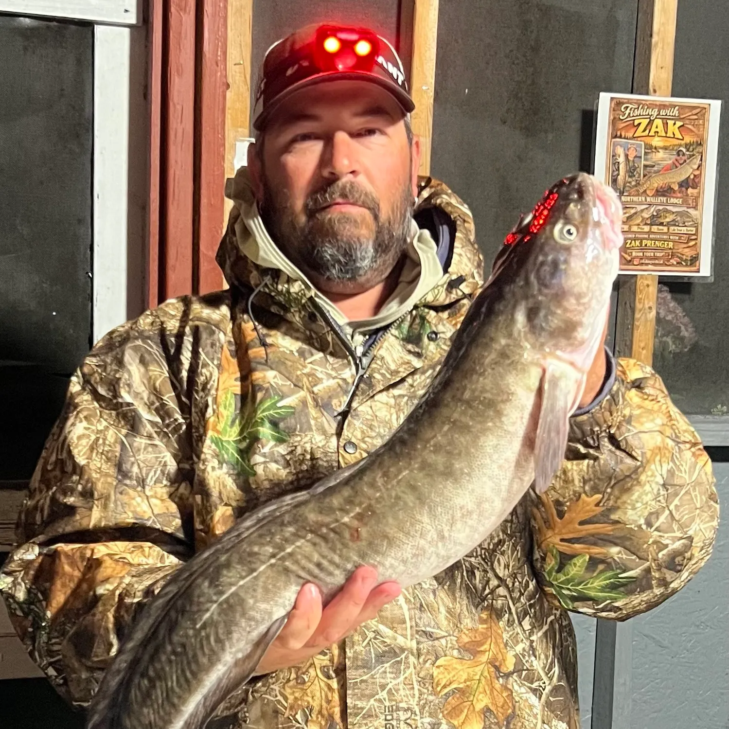 The most recent Burbot catches on Fishbrain