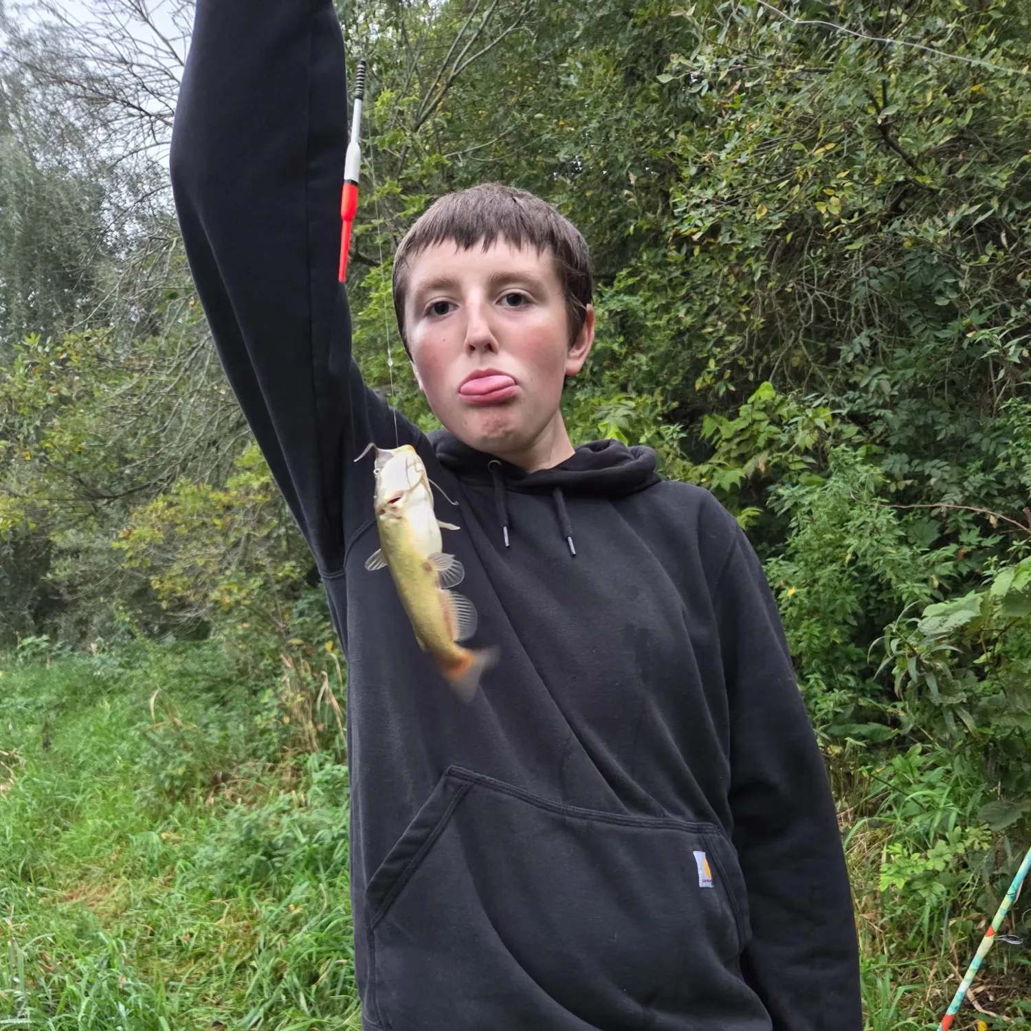 Yellow bullhead caught on Fishbrain
