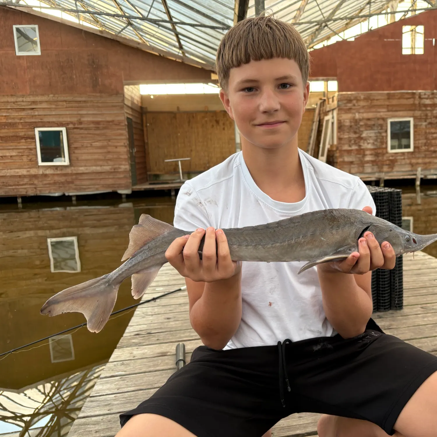 The most recent Siberian sturgeon catches on Fishbrain