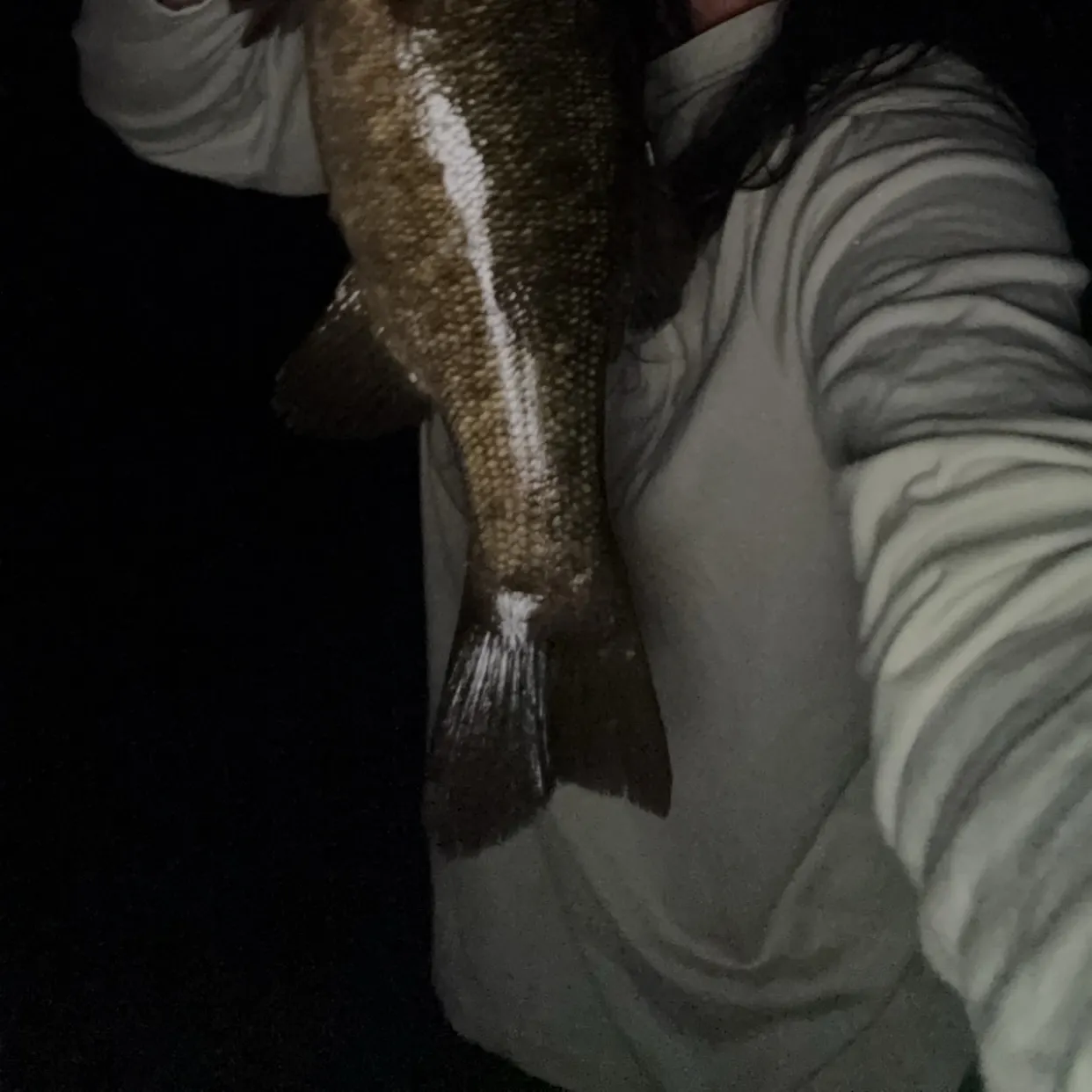 Smallmouth bass caught on Fishbrain