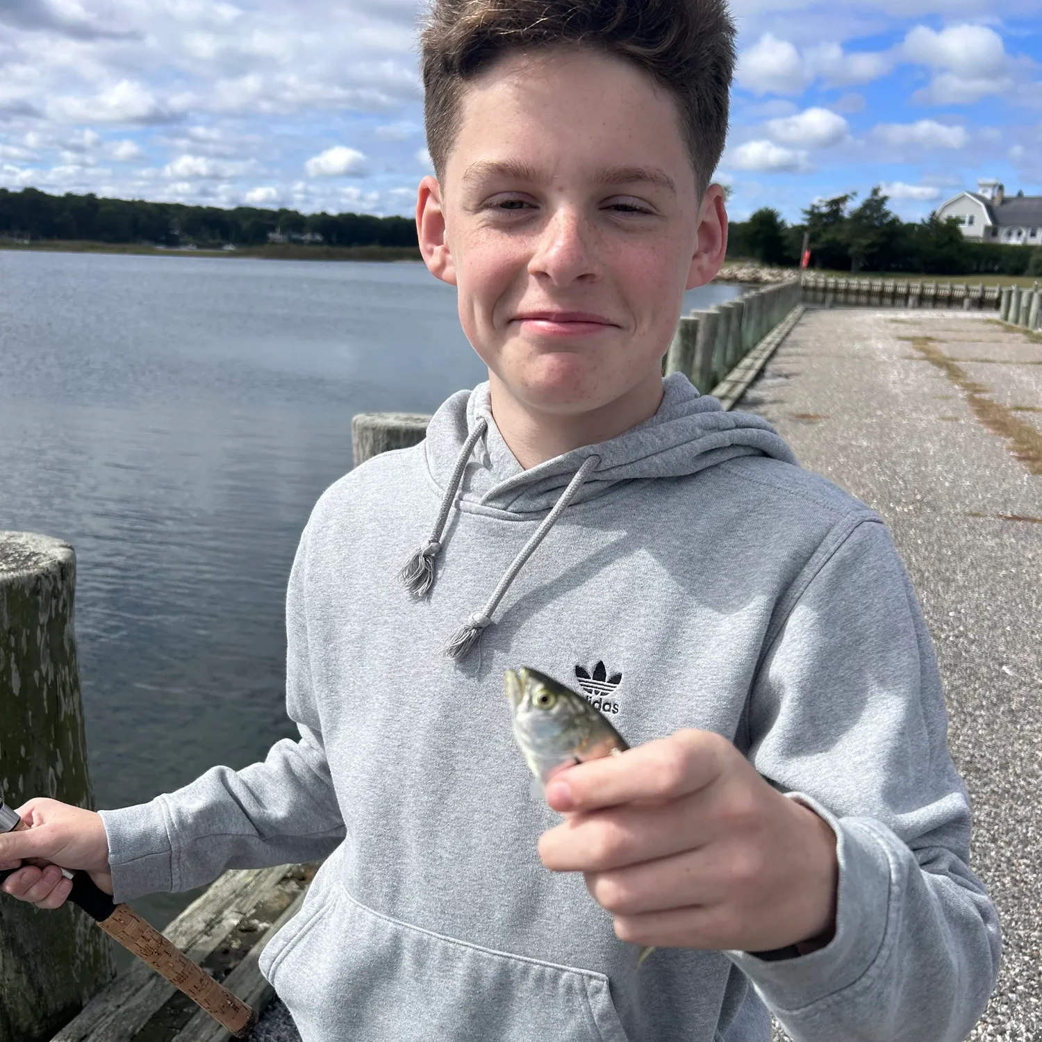 Bluefish caught on Fishbrain