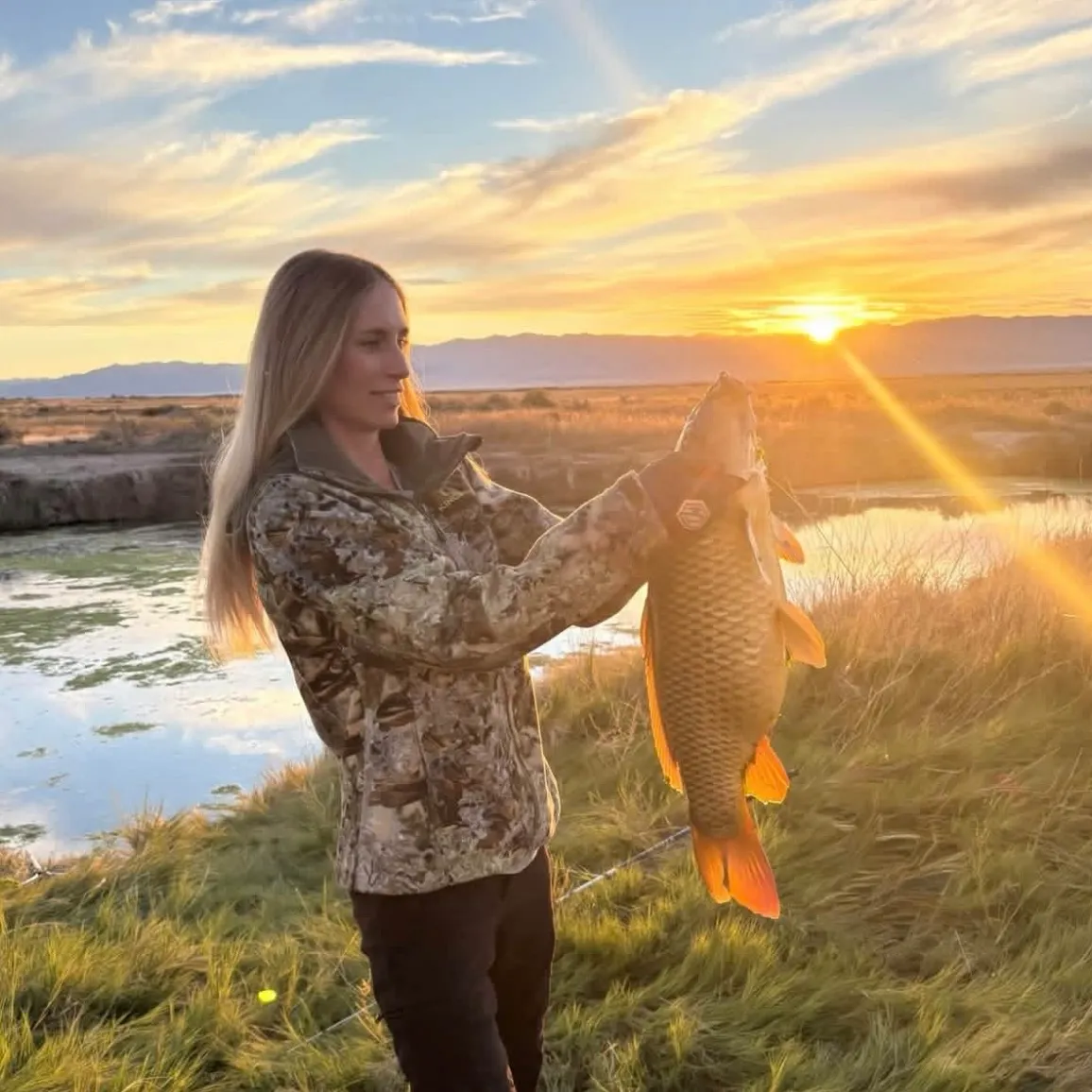 Common carp caught on Fishbrain