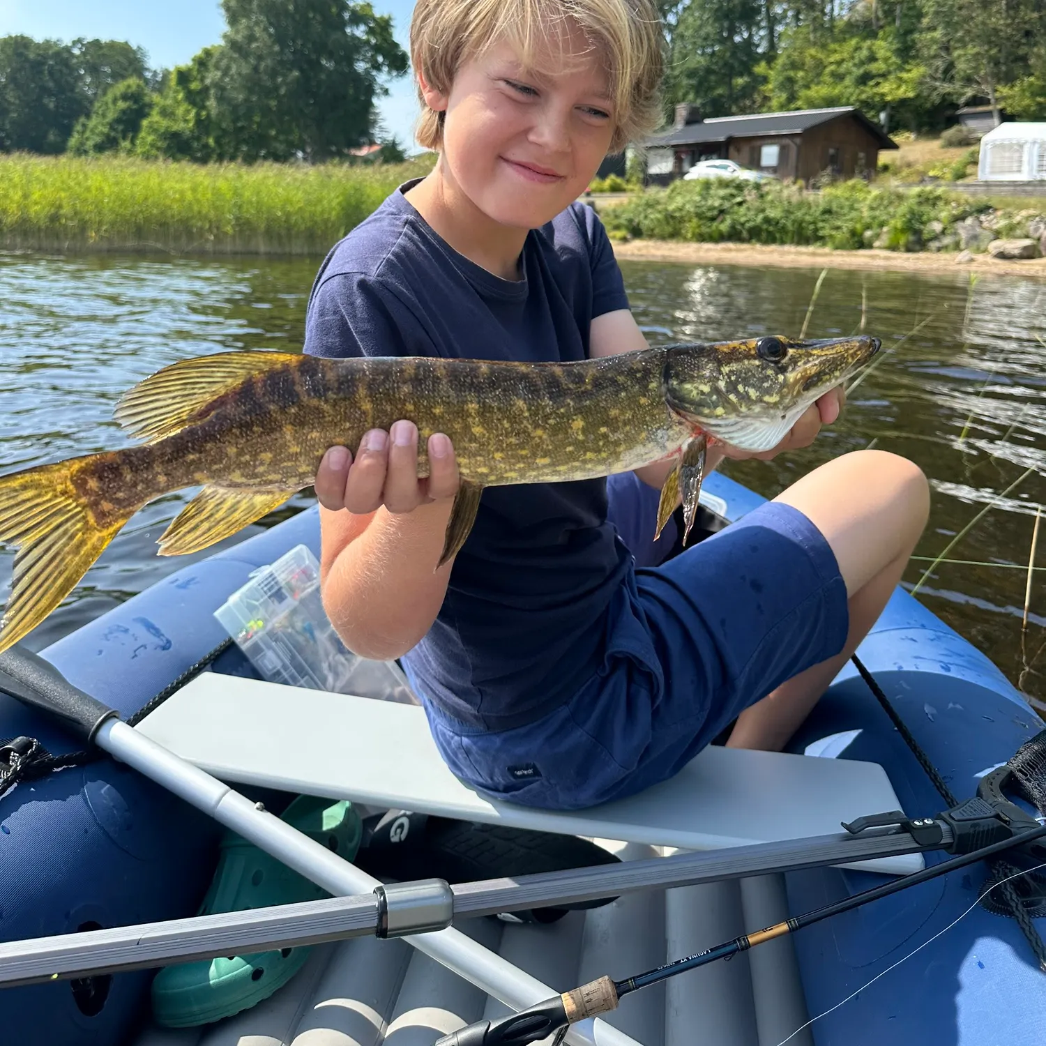 Northern pike caught on Fishbrain