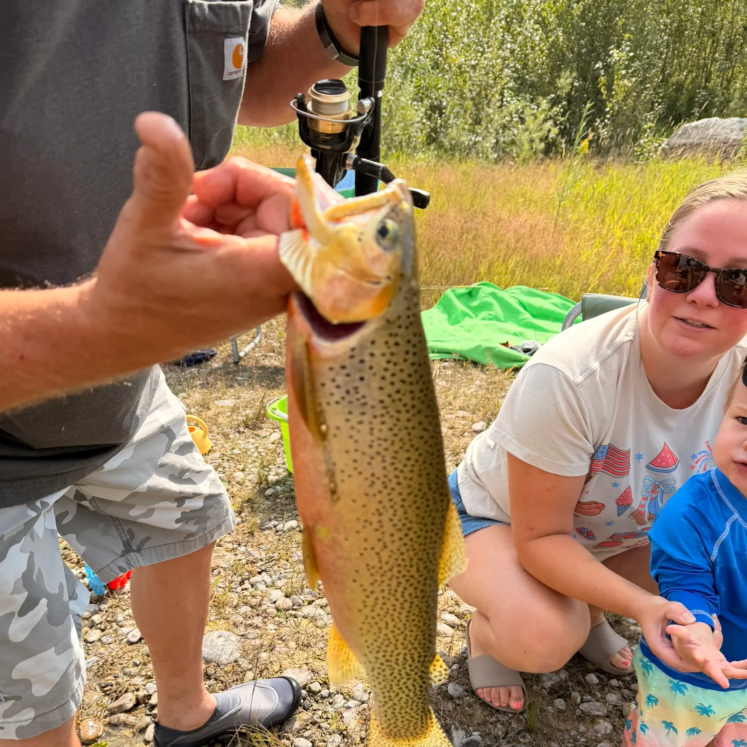 Cutthroat trout caught on Fishbrain