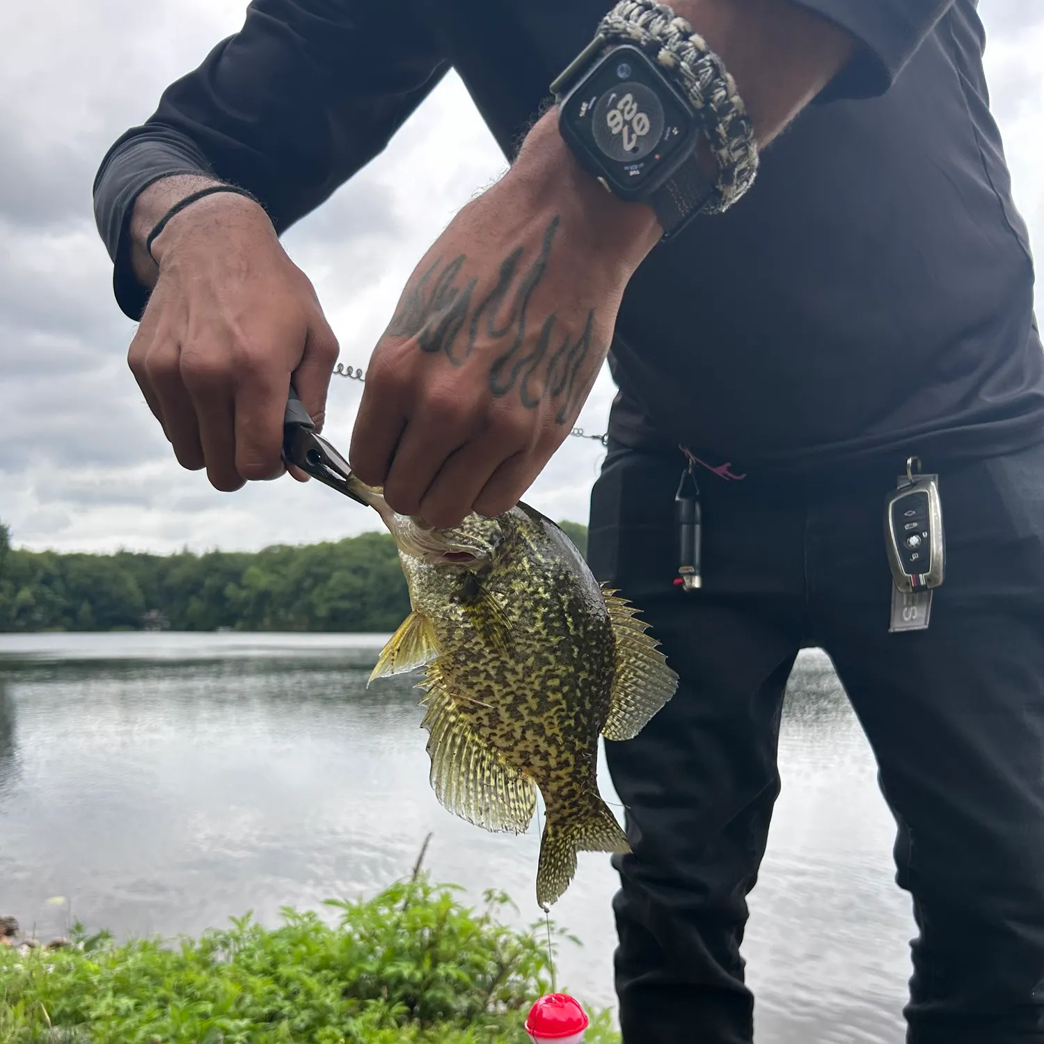 recently logged catches