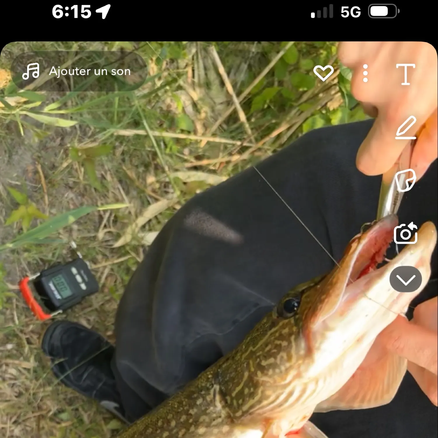 recently logged catches