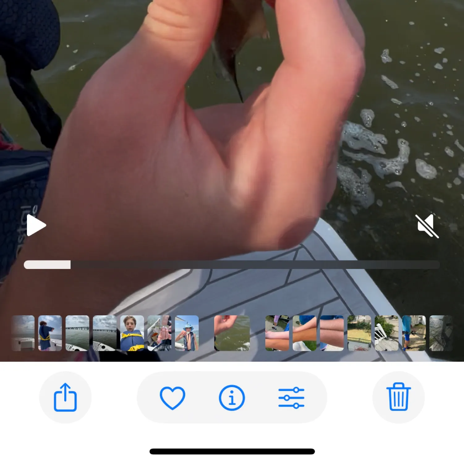 The most recent Blue mackerel catches on Fishbrain