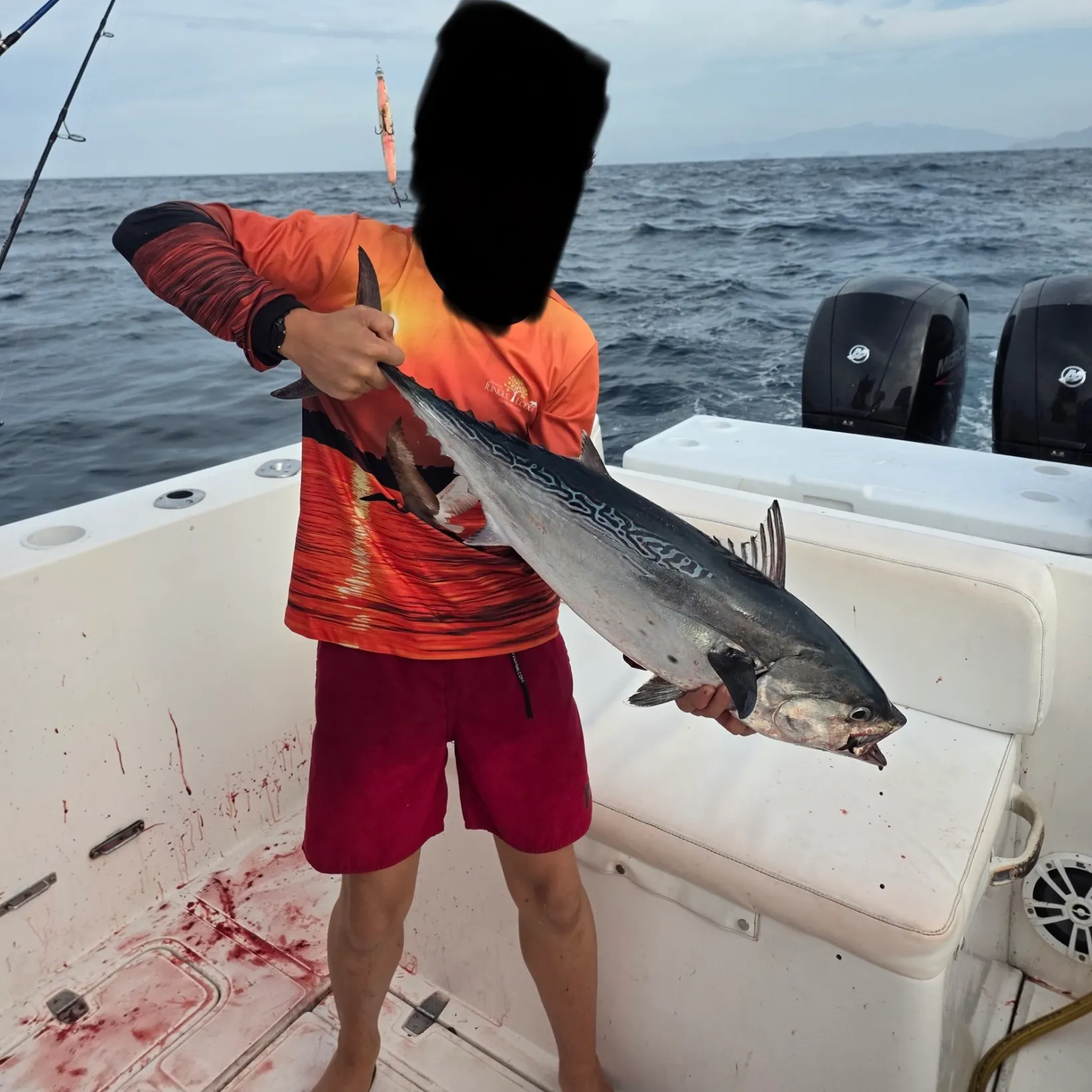The most recent Little tunny catches on Fishbrain