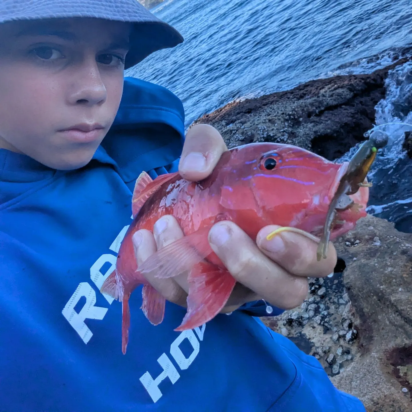 The most recent Red mullet catches on Fishbrain