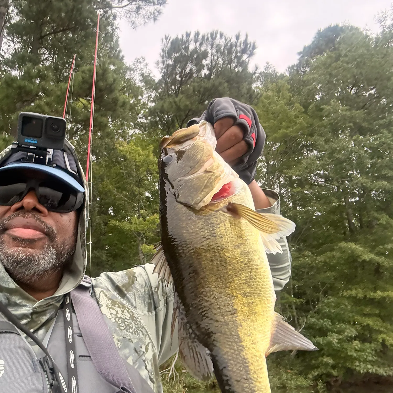 Largemouth bass caught on Fishbrain
