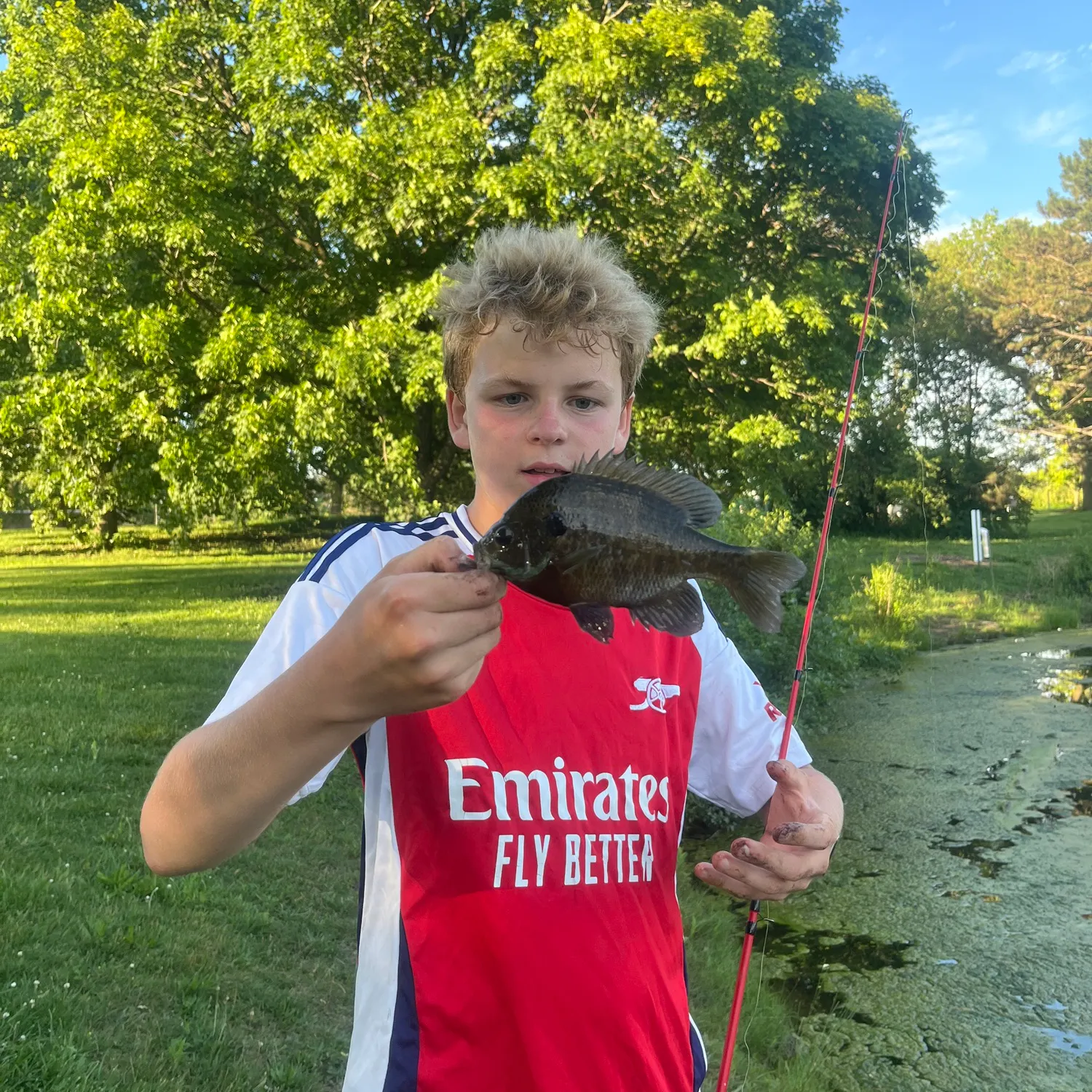 The most recent Pumpkingill hybrid catches on Fishbrain