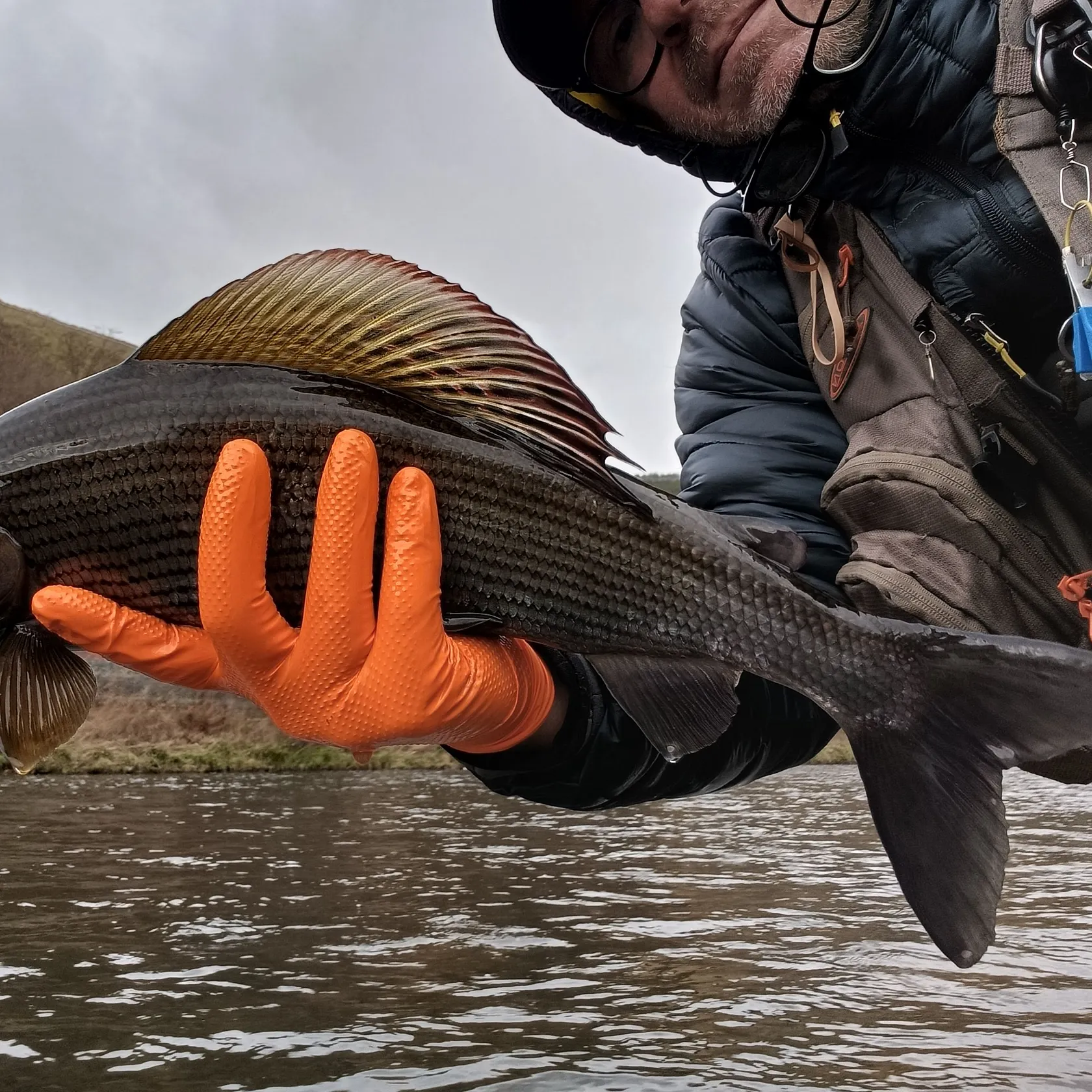 The most recent European grayling catches on Fishbrain