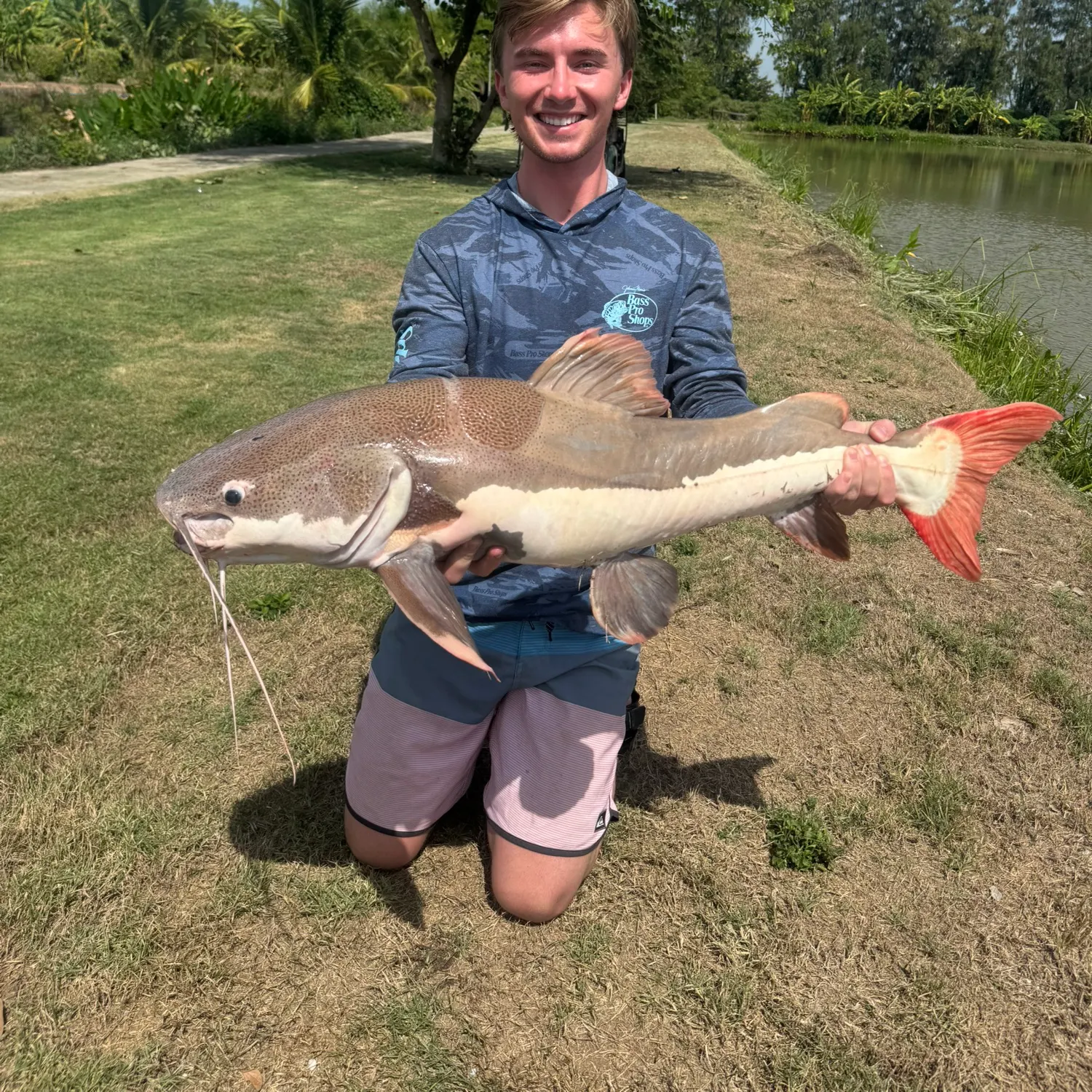 The most recent Redtail catfish catches on Fishbrain