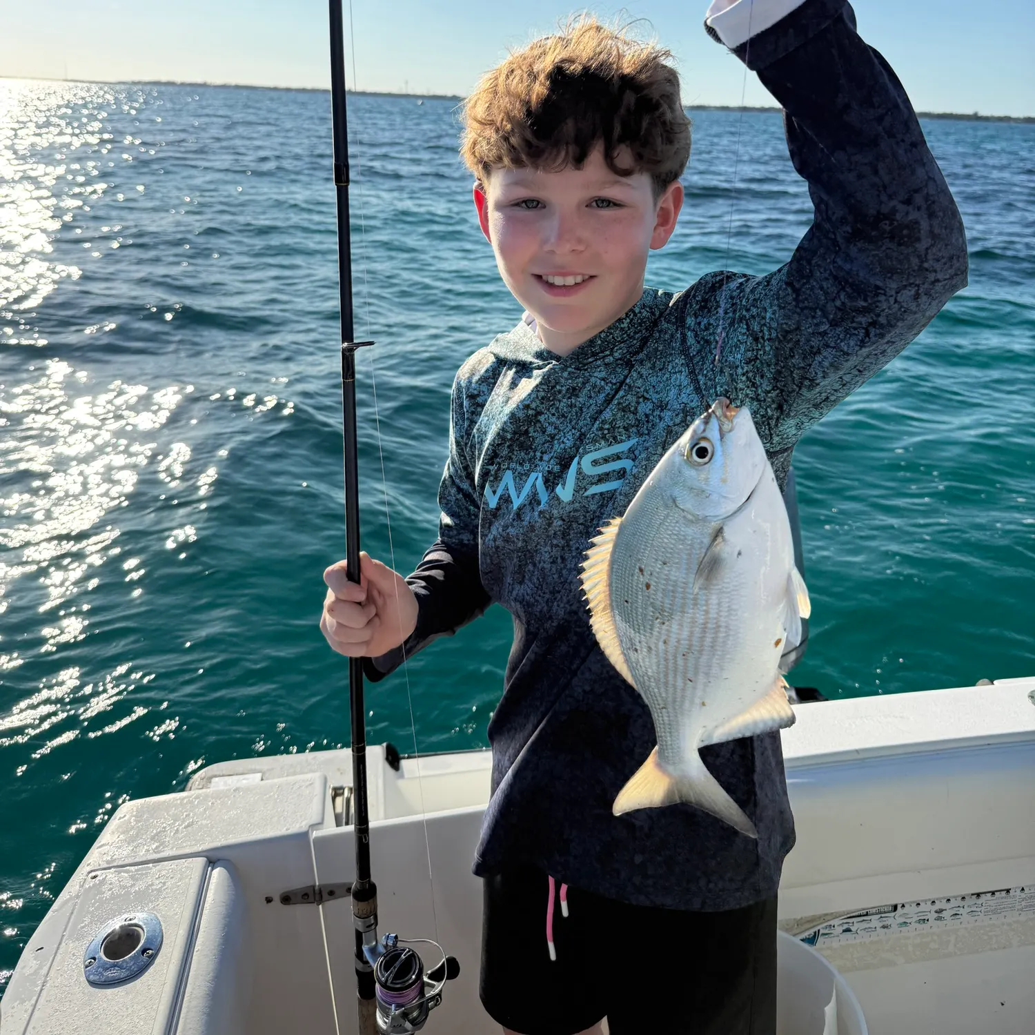 The most recent Bermuda sea chub catches on Fishbrain