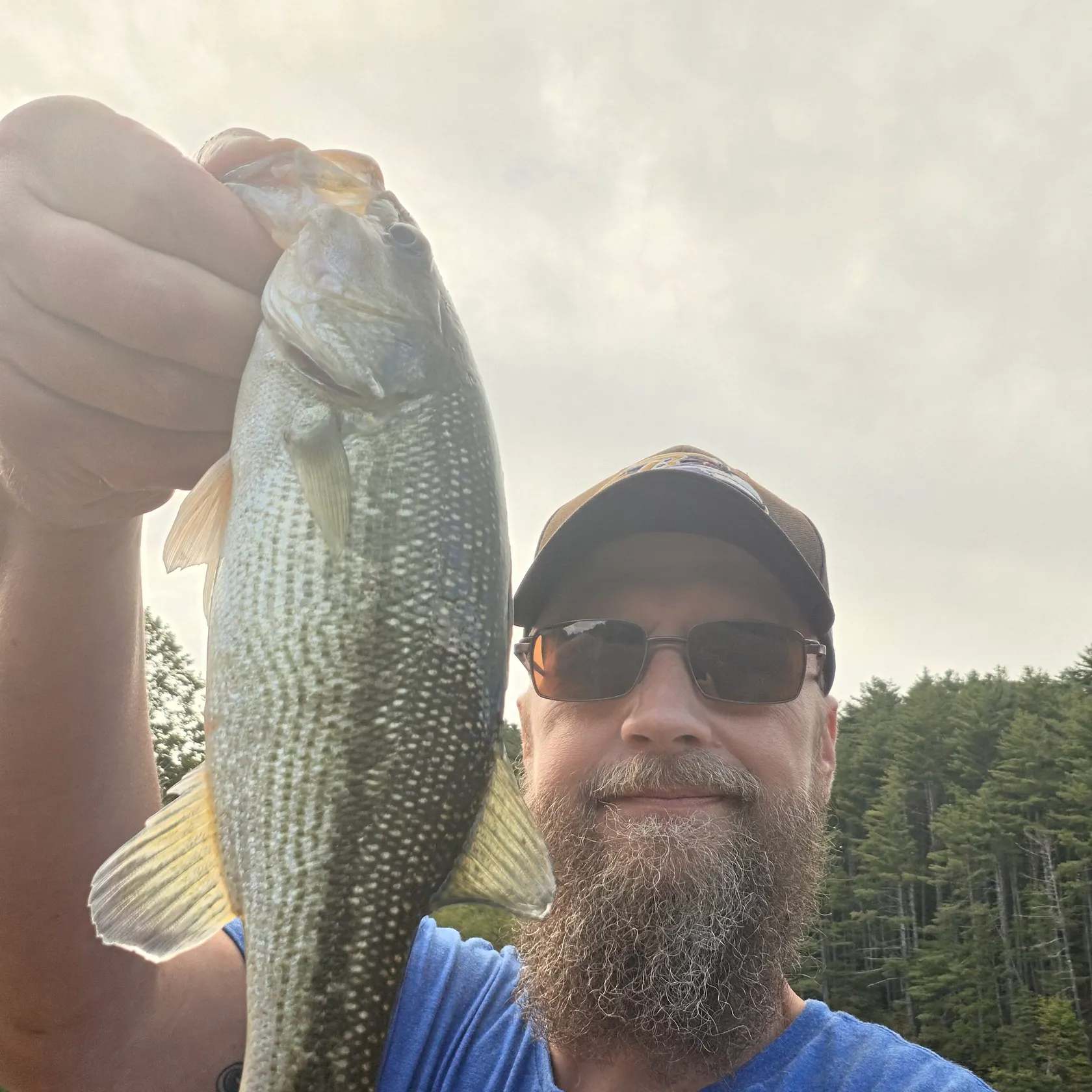 Spotted bass caught on Fishbrain