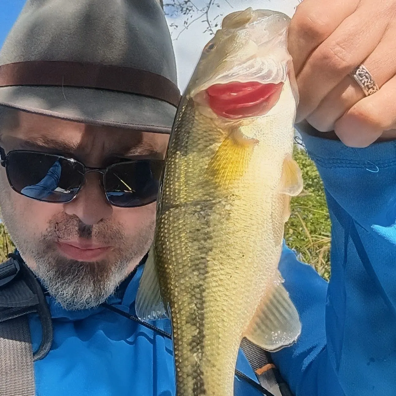 Largemouth bass caught on Fishbrain