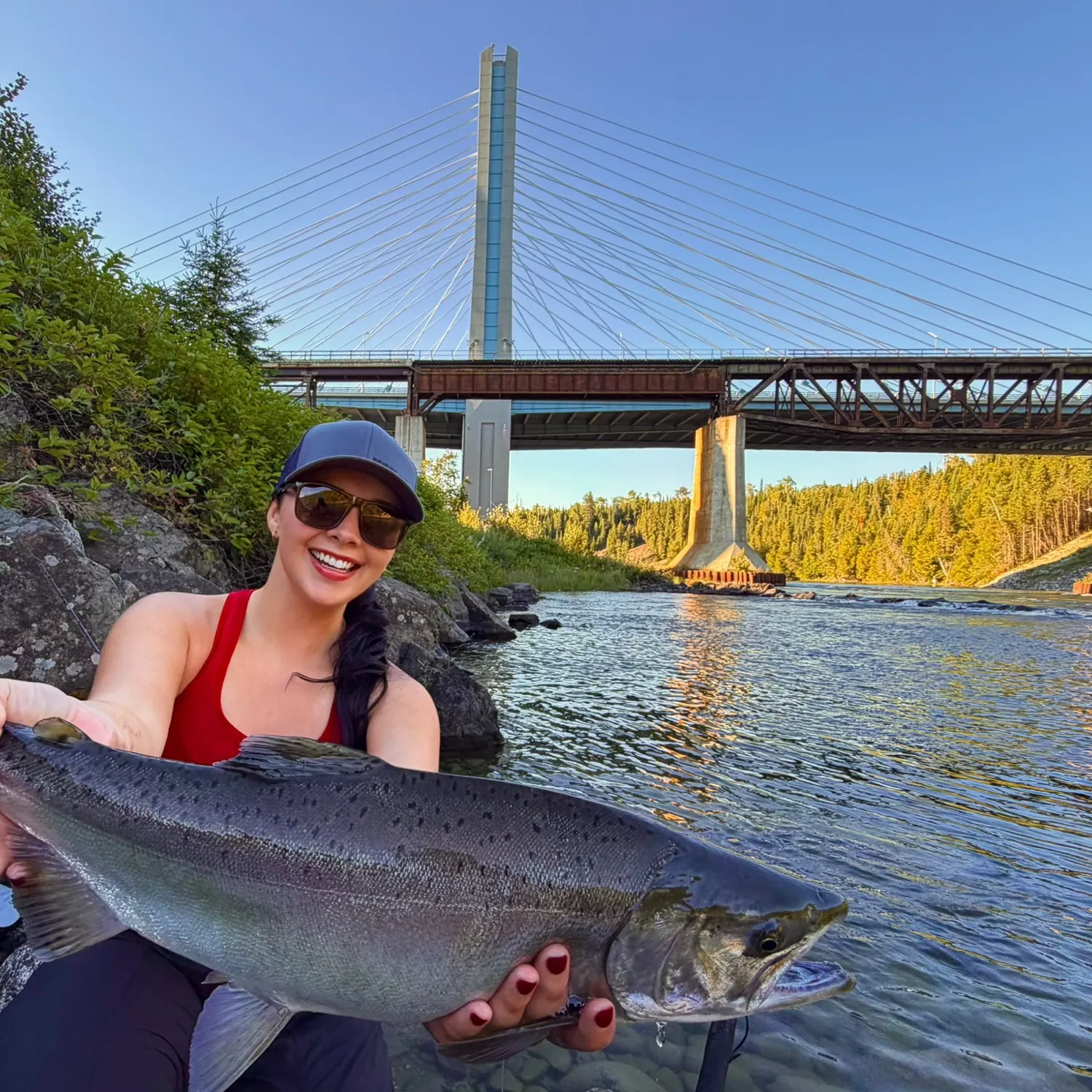 Pink salmon caught on Fishbrain