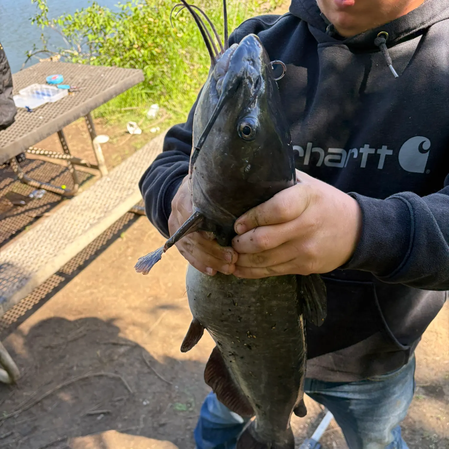 catch