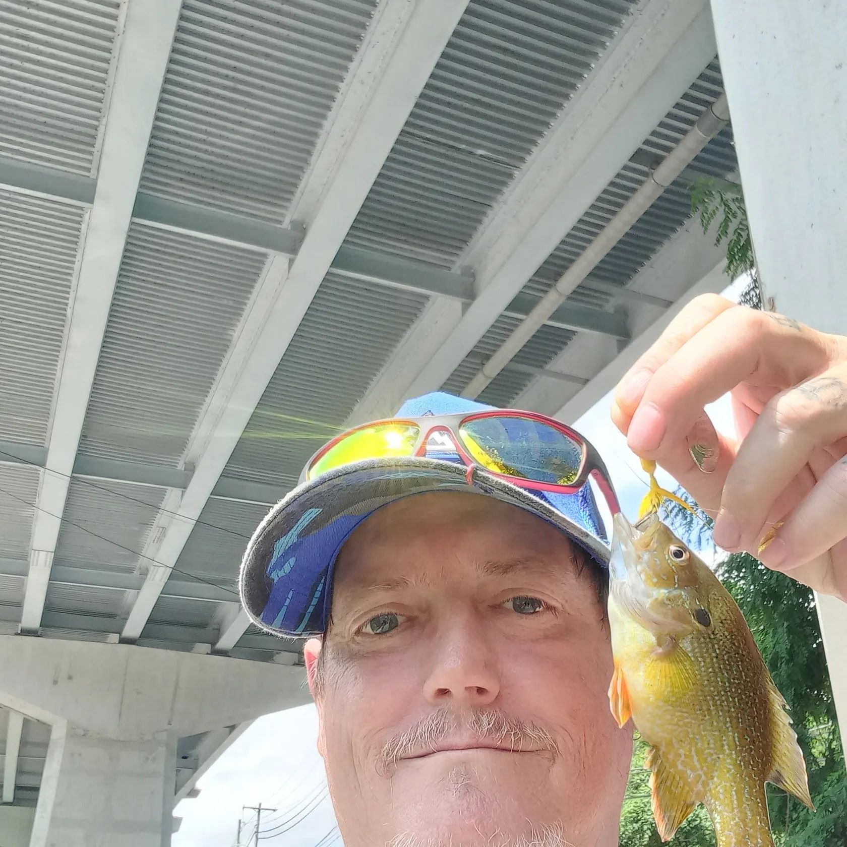 The most recent Orangespotted sunfish catches on Fishbrain