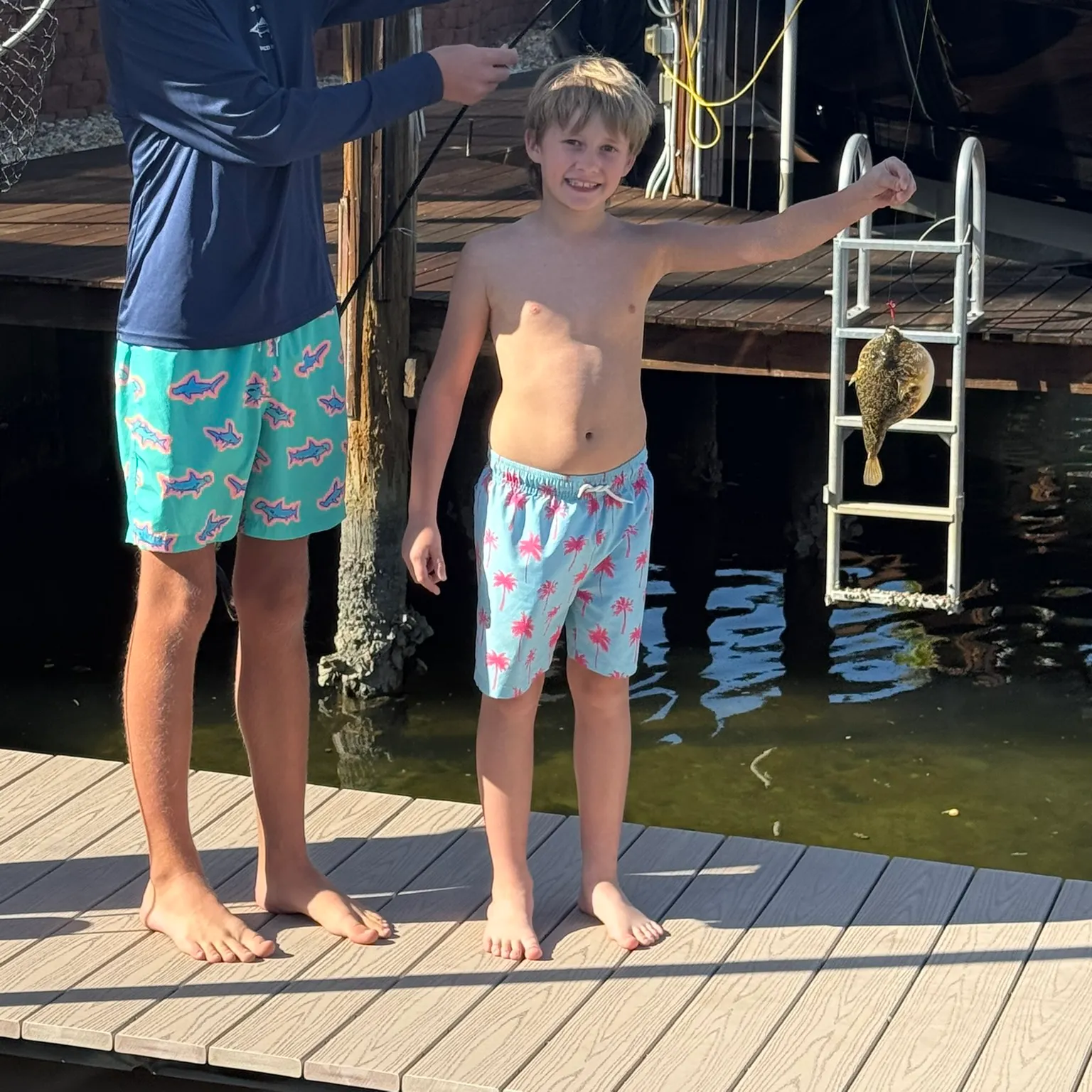 The most recent Spider-eye puffer catches on Fishbrain
