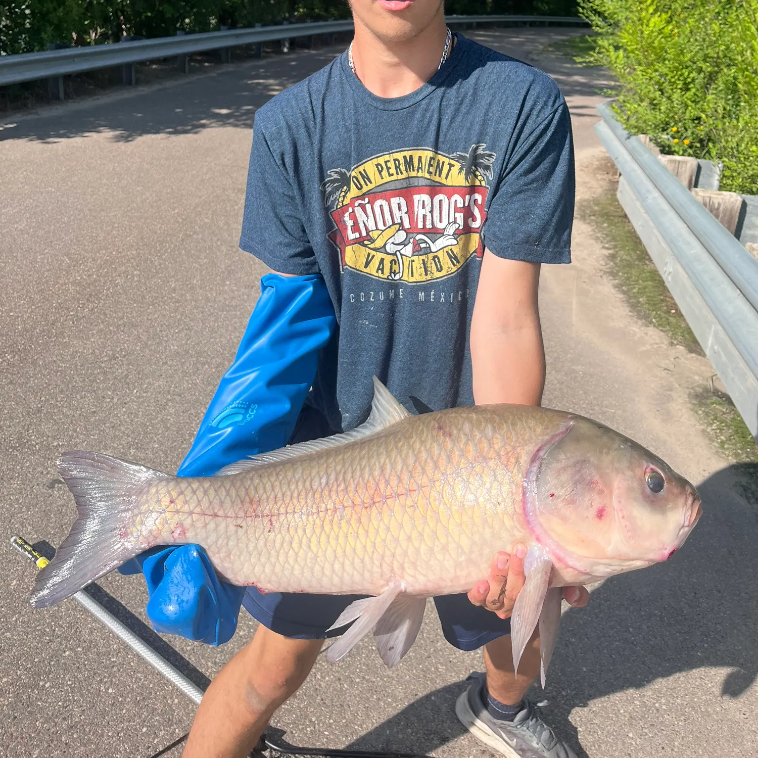 The most recent Bigmouth buffalo catches on Fishbrain