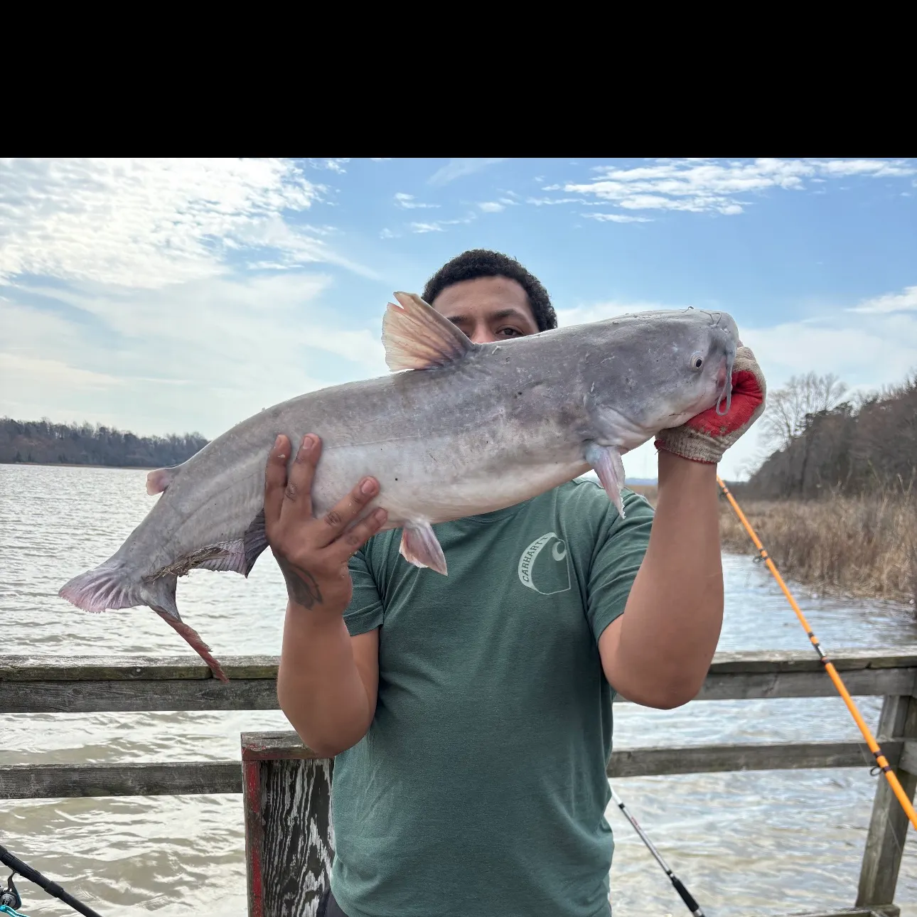 The most recent Blue catfish catches on Fishbrain