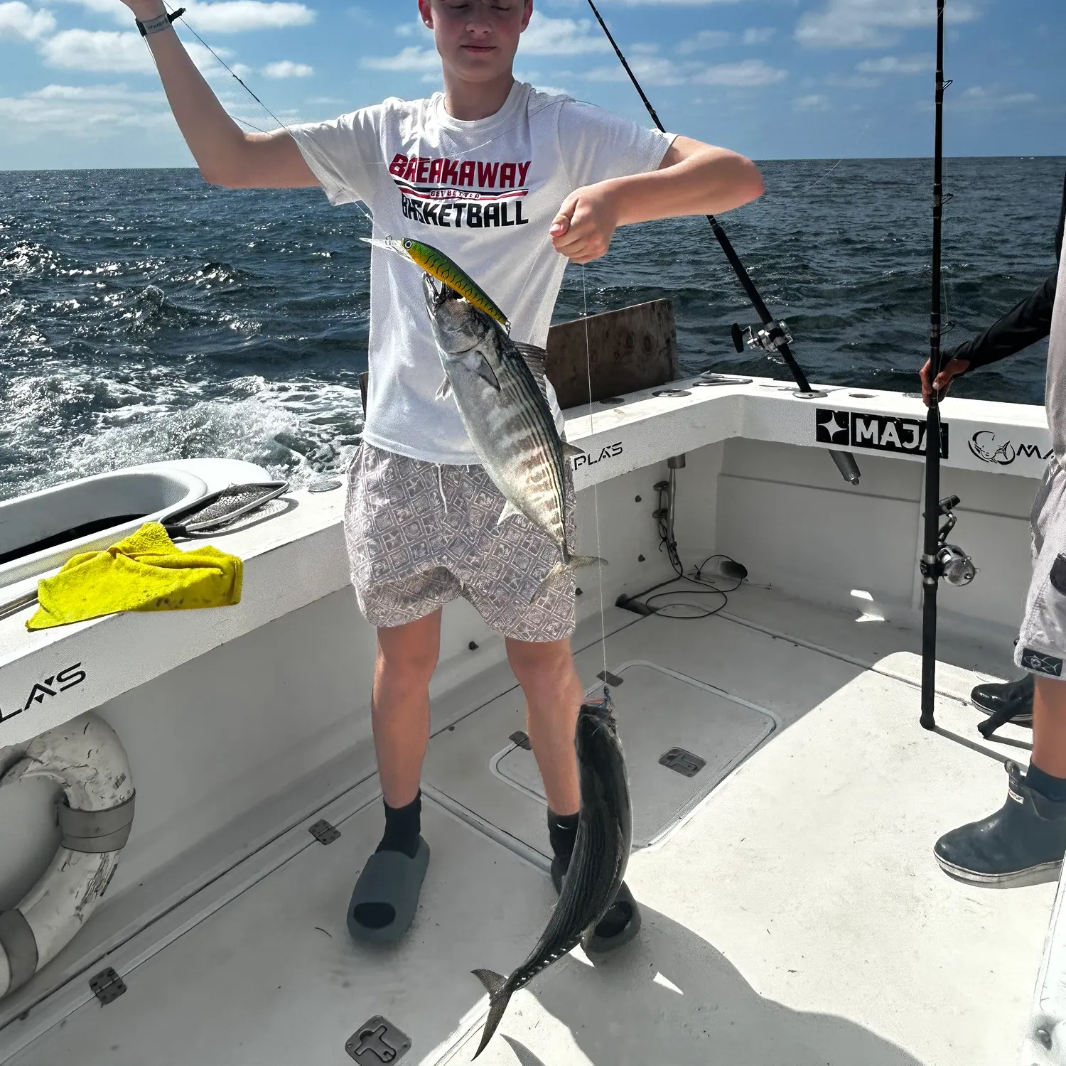 The most recent Eastern Pacific bonito catches on Fishbrain