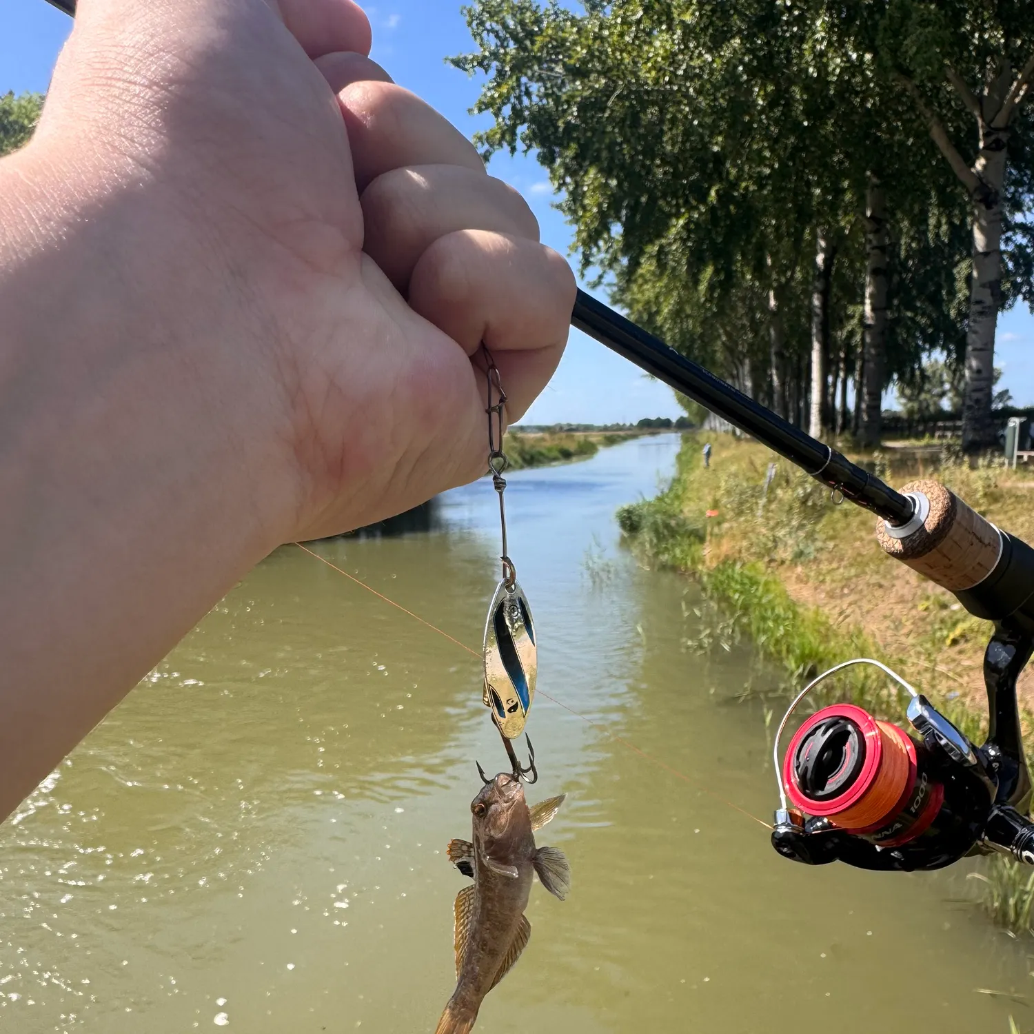 Round goby caught on Fishbrain