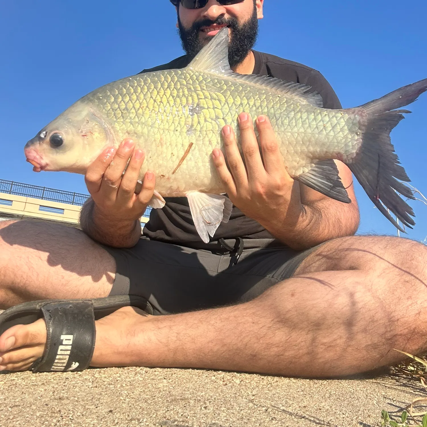 Smallmouth buffalo caught on Fishbrain