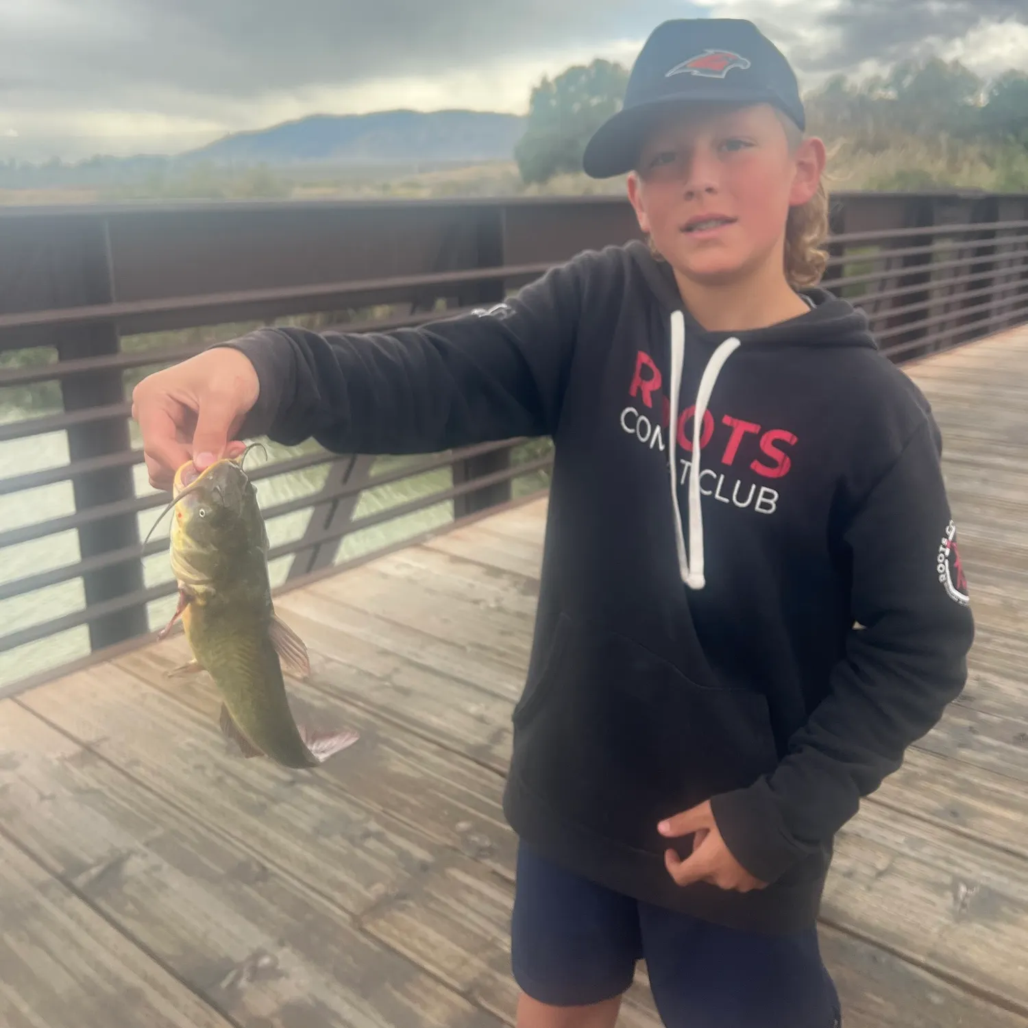 Yellow bullhead caught on Fishbrain