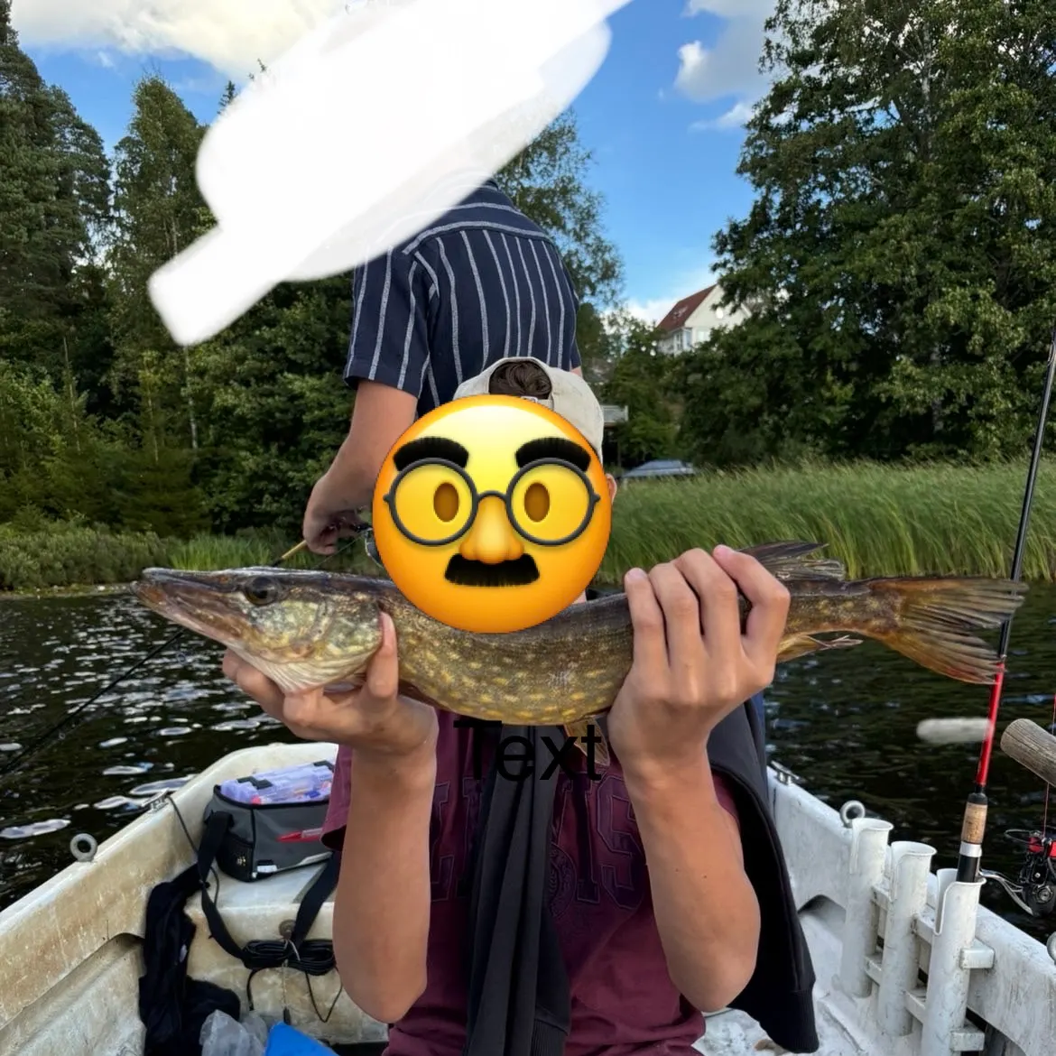 Northern pike caught on Fishbrain
