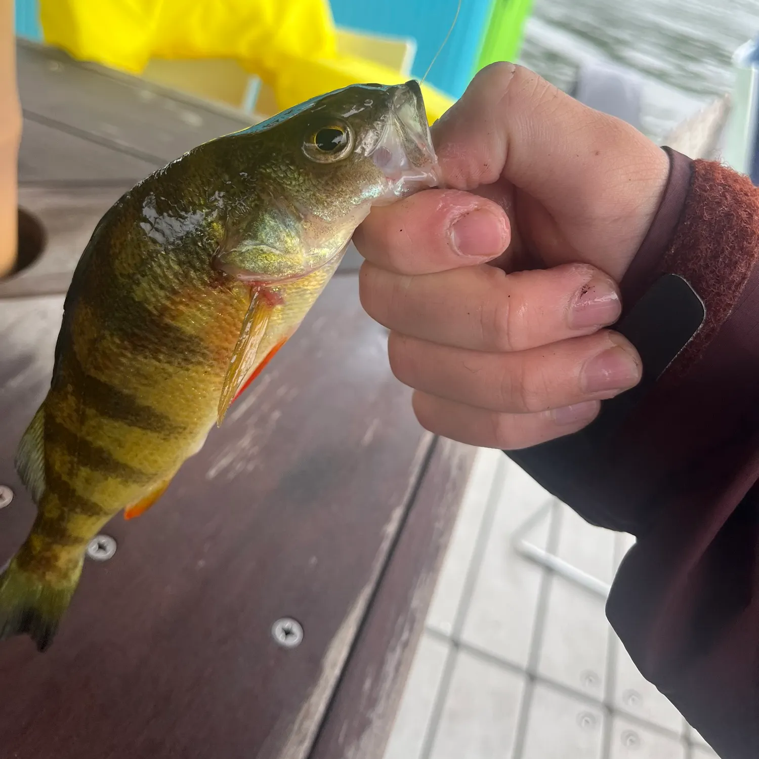 catch