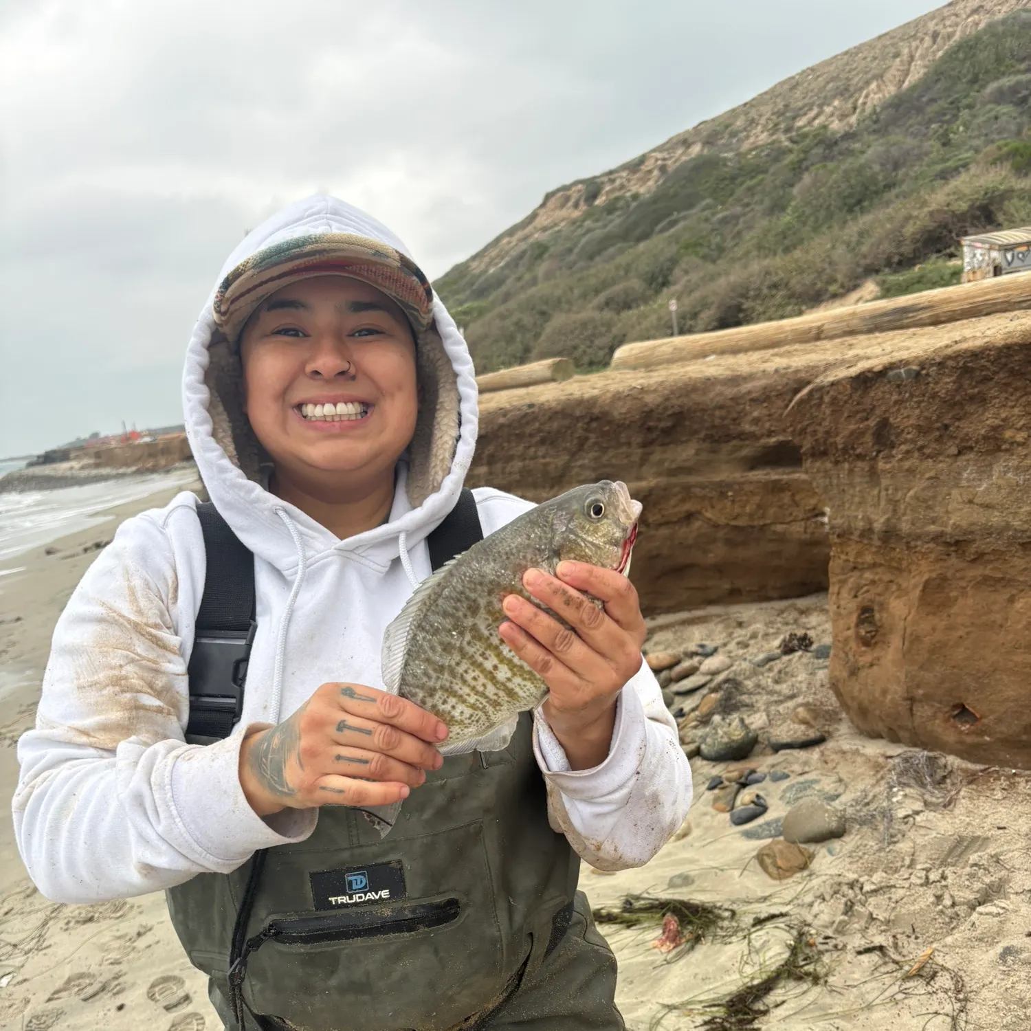 The most recent Barred surfperch catches on Fishbrain