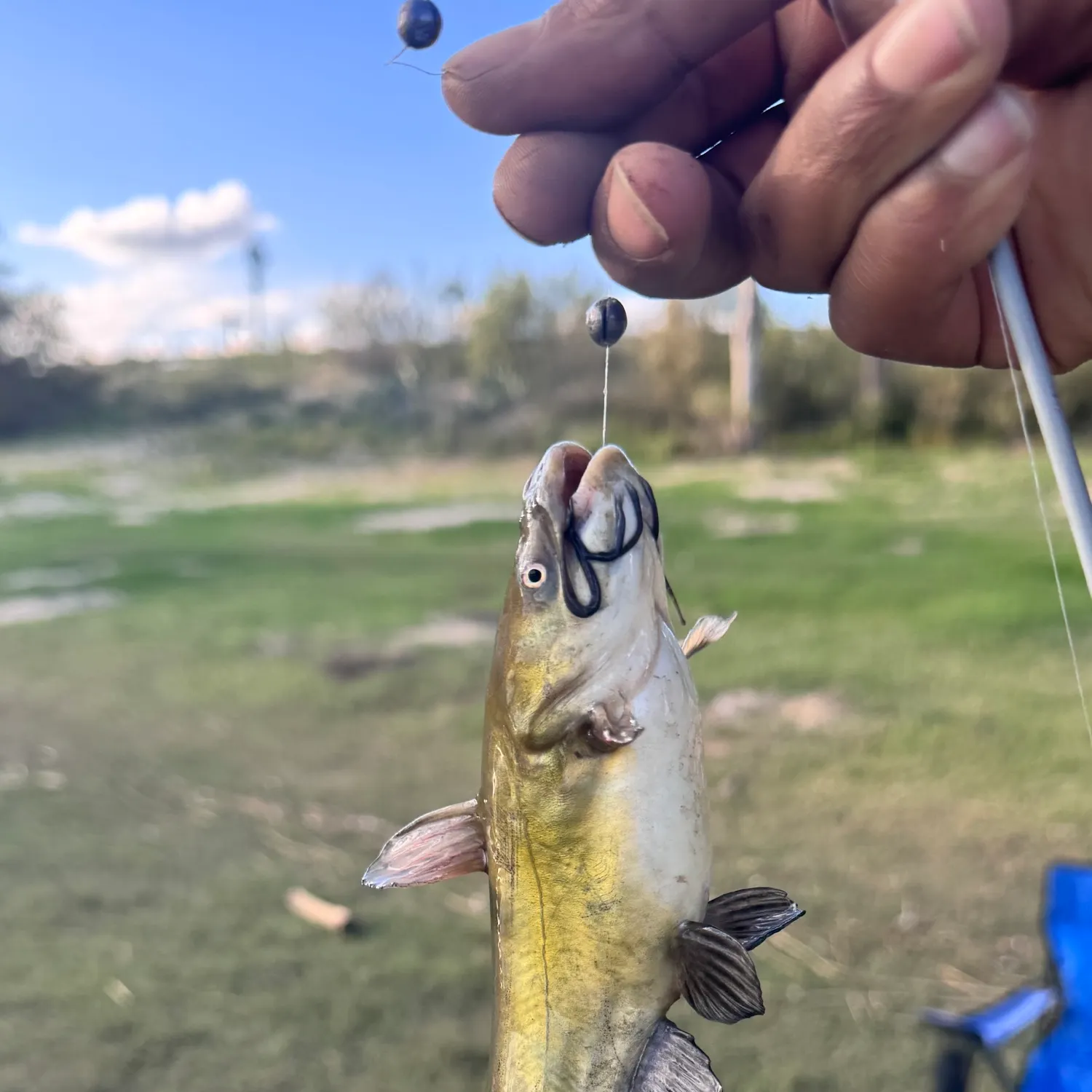 catch